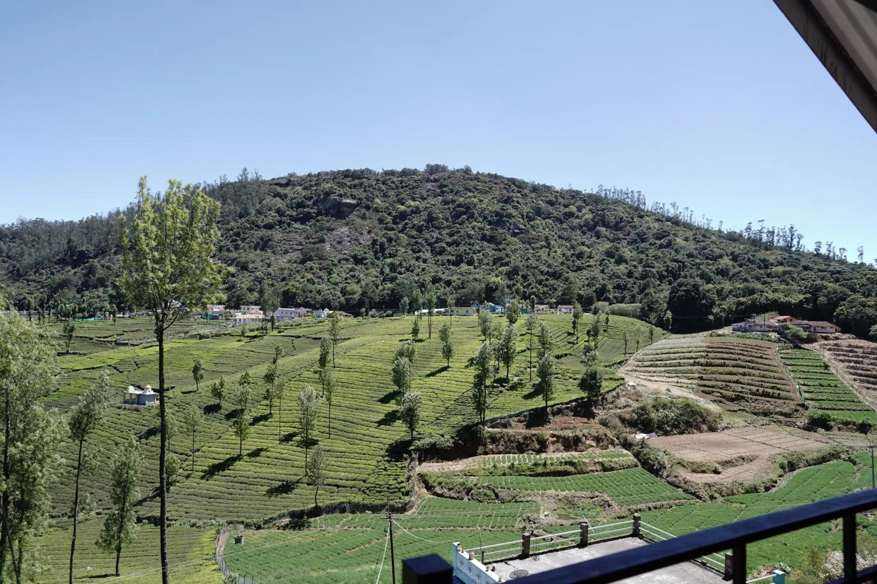 View (from property/room) in Tea Leaf Stays by Brown Tree Resorts