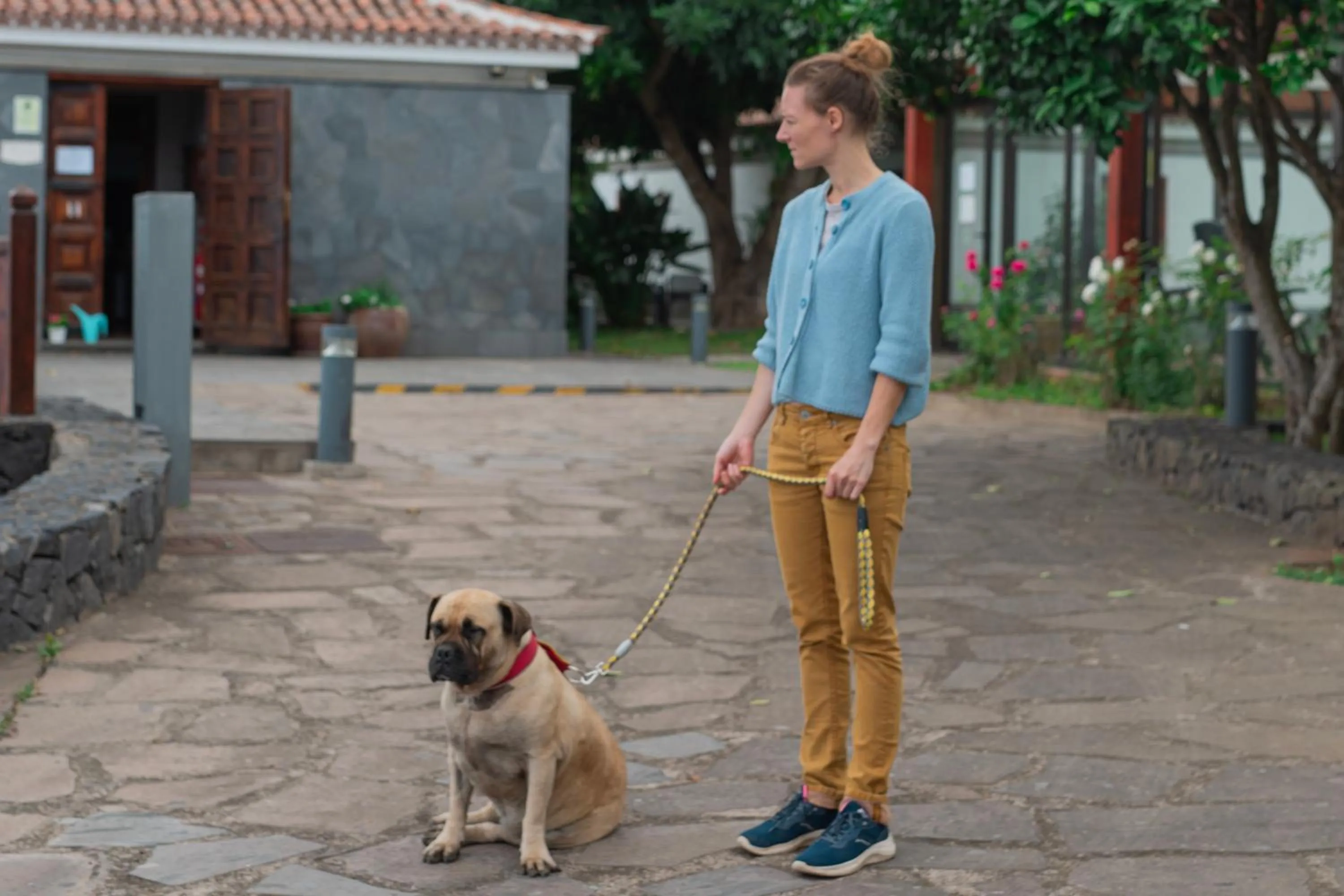 Animals in Hotel Rural Casablanca
