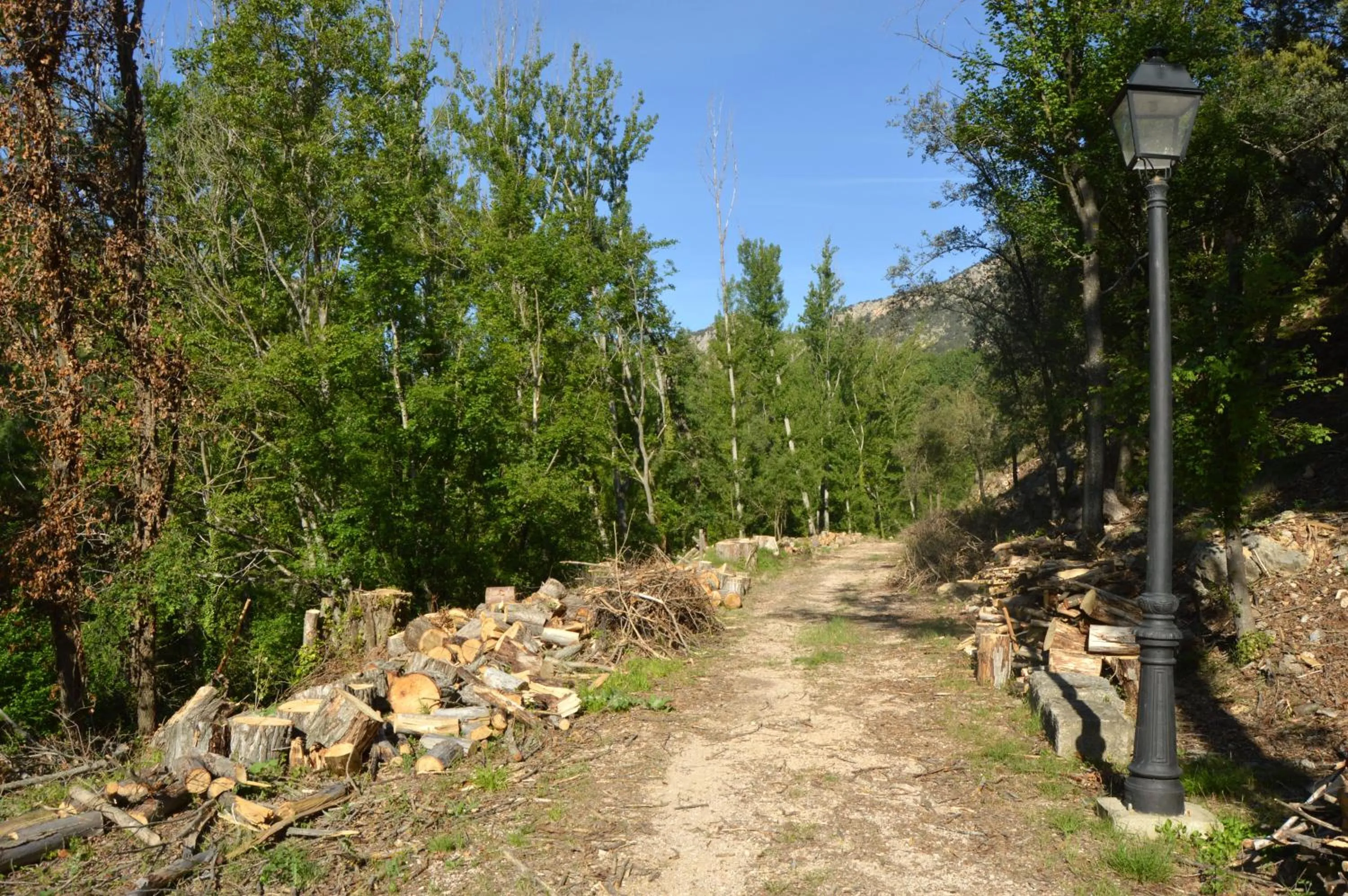 Garden in Hotel de La Trucha