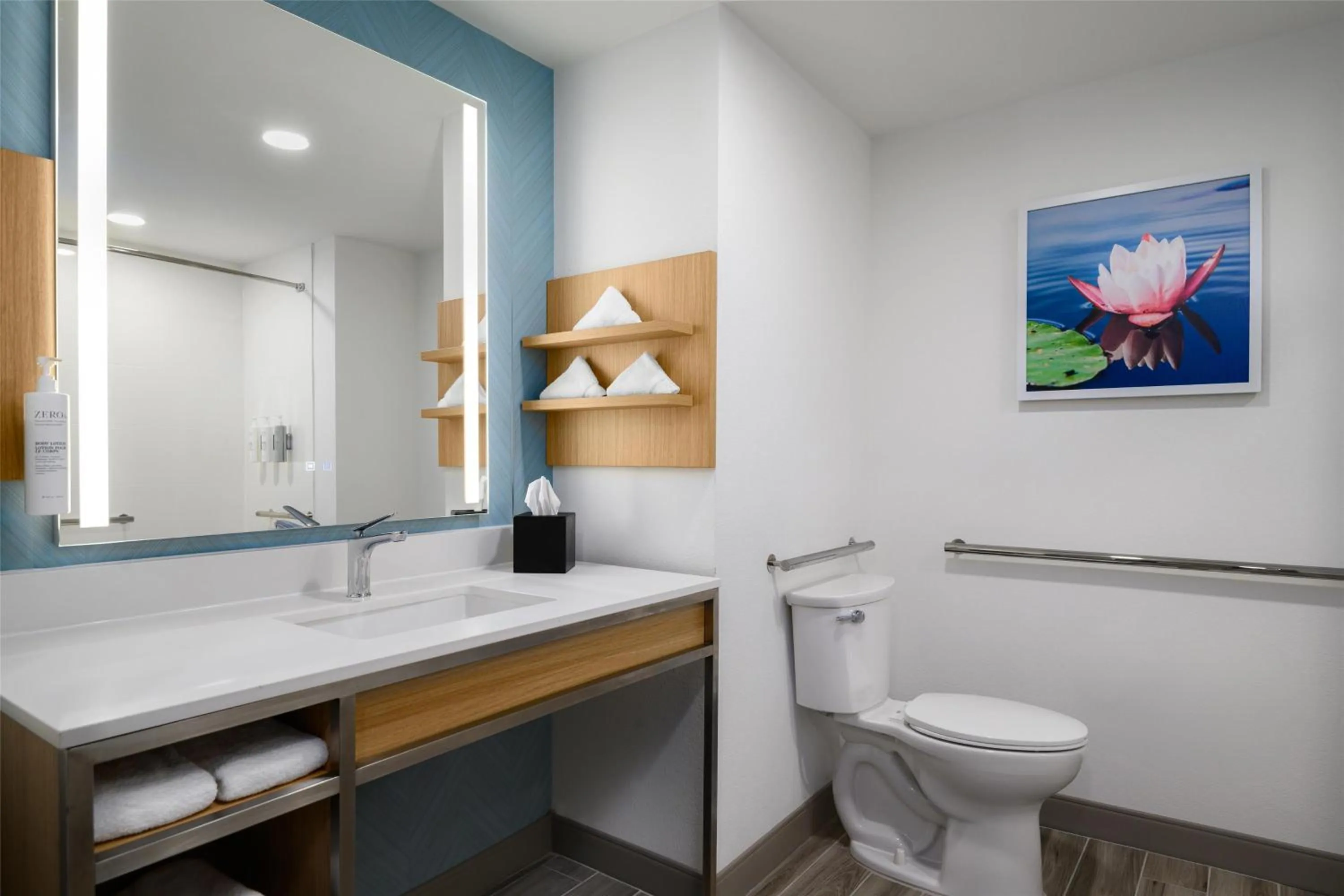 Bathroom in Hilton Garden Inn Orlando I-4 Millenia Blvd Mall