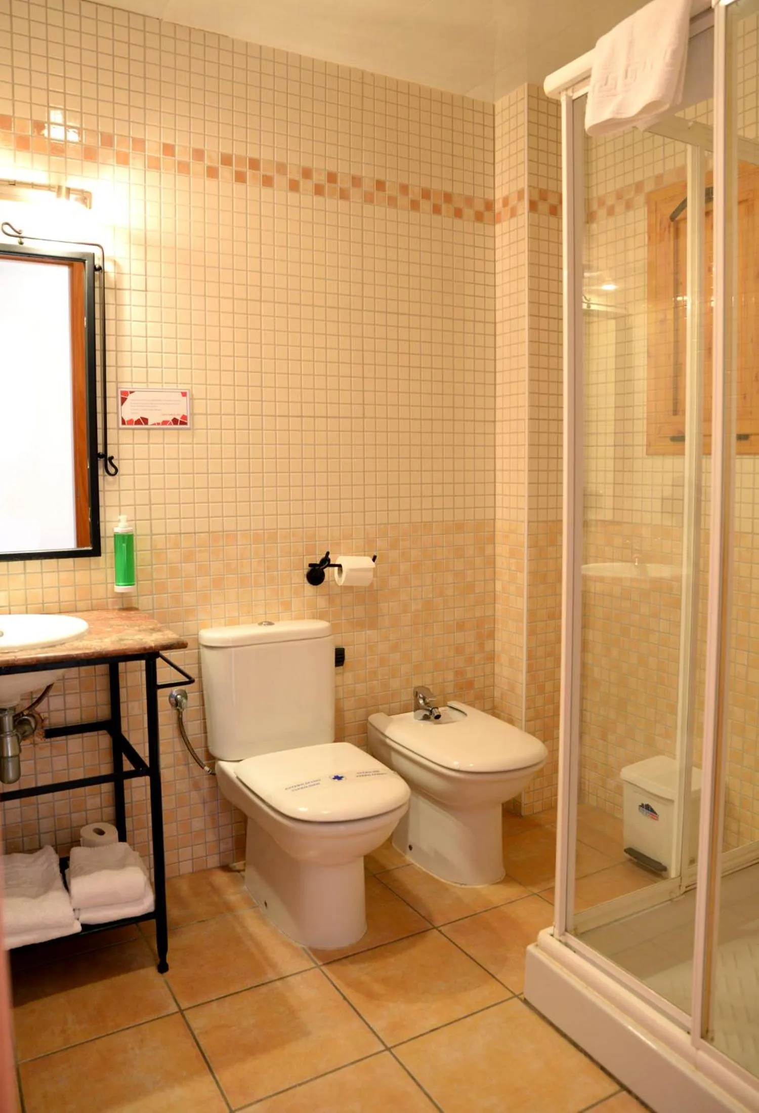 Toilet in Hotel Spa Pinar del Mar