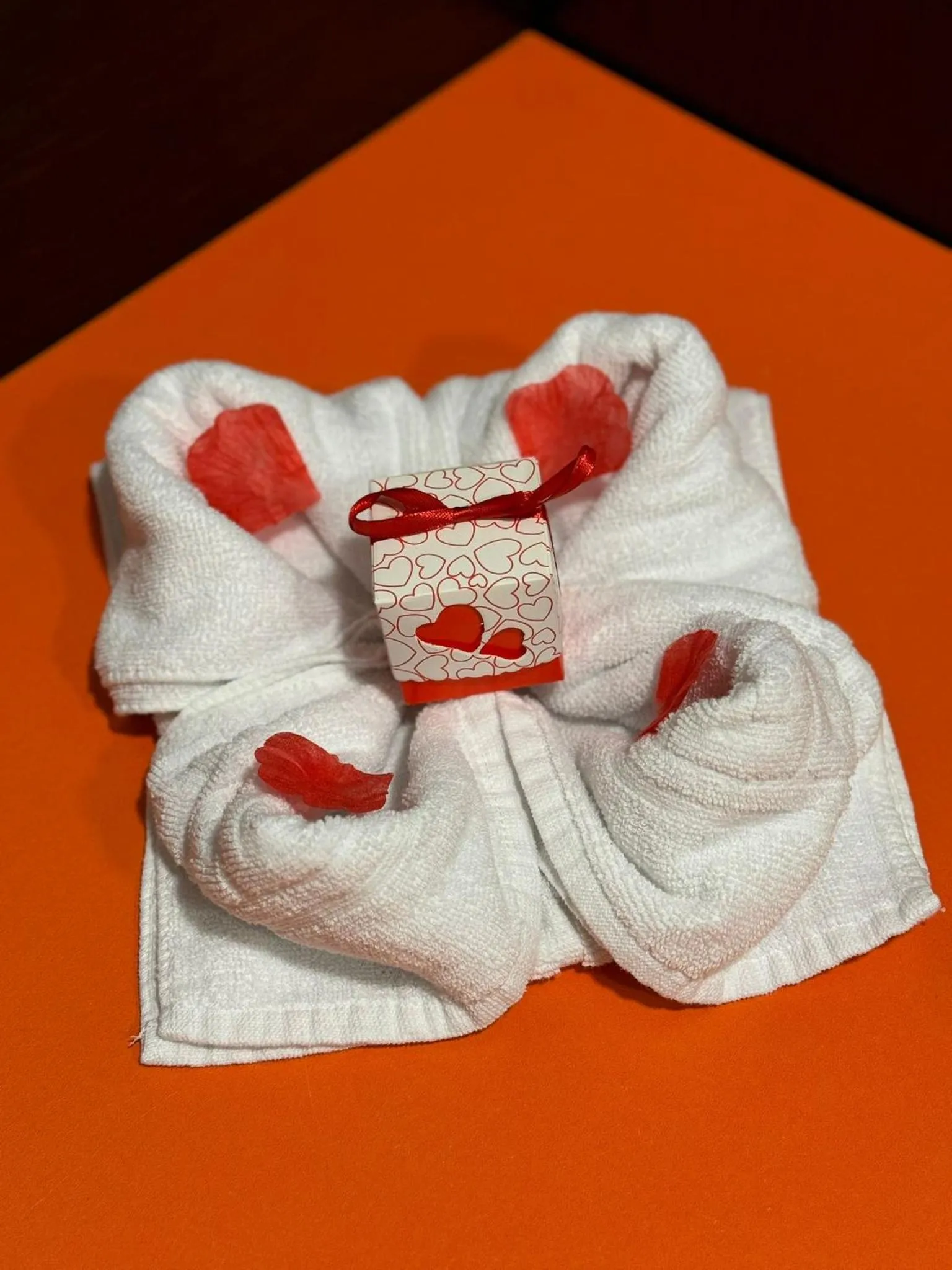 towels in Hotel Spa Pinar del Mar