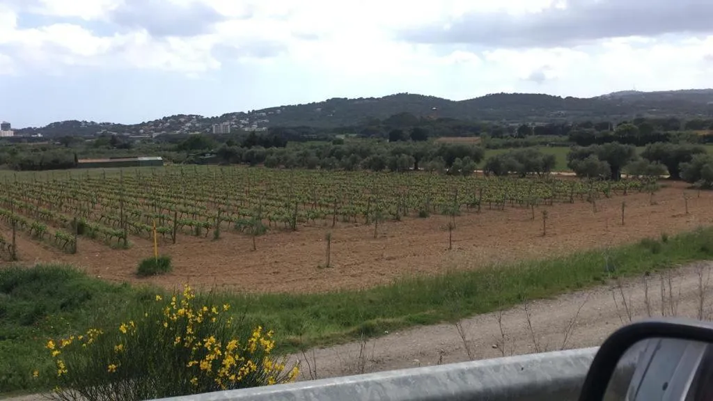 Day in Hotel Spa Pinar del Mar