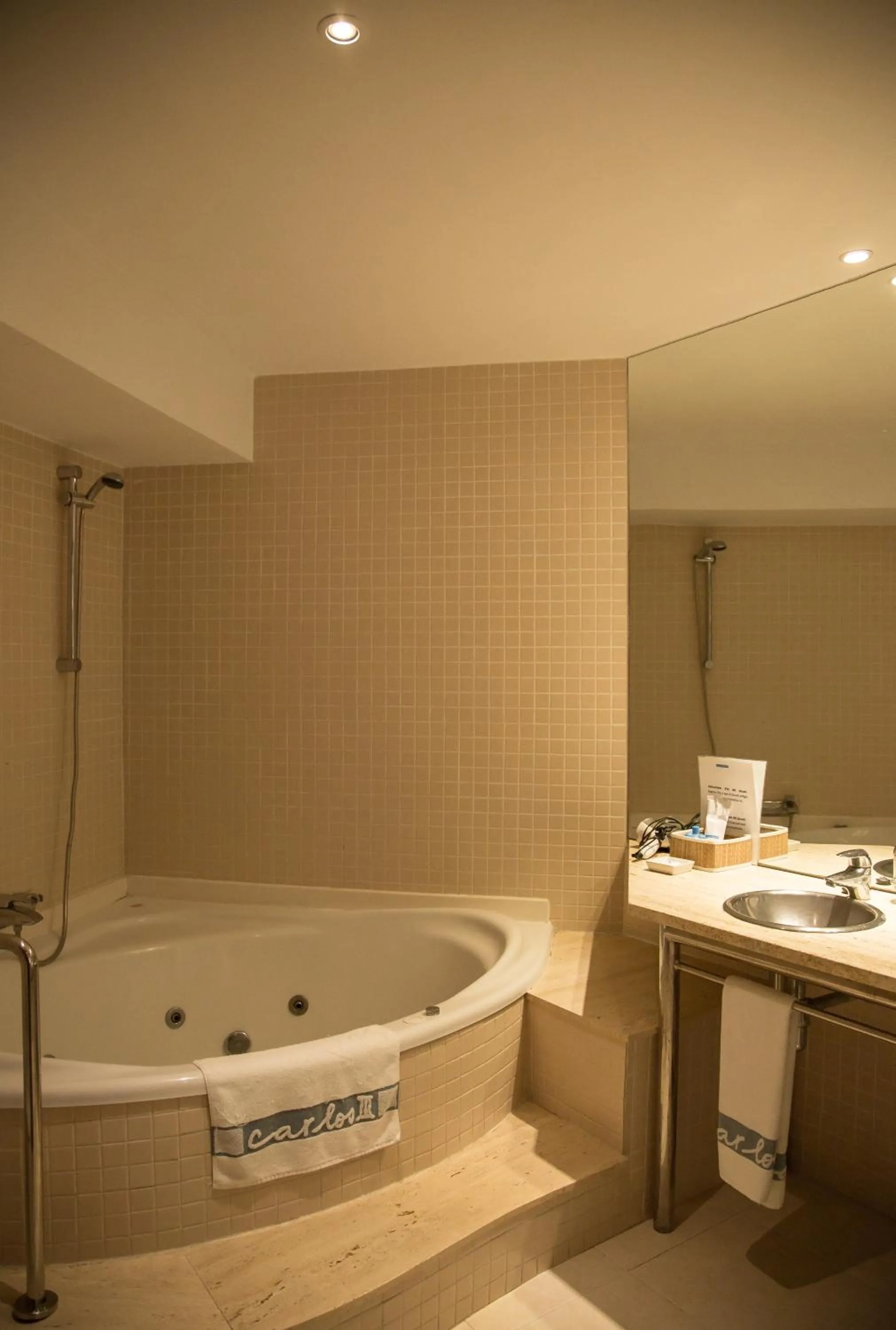 Bathroom in Carlos III