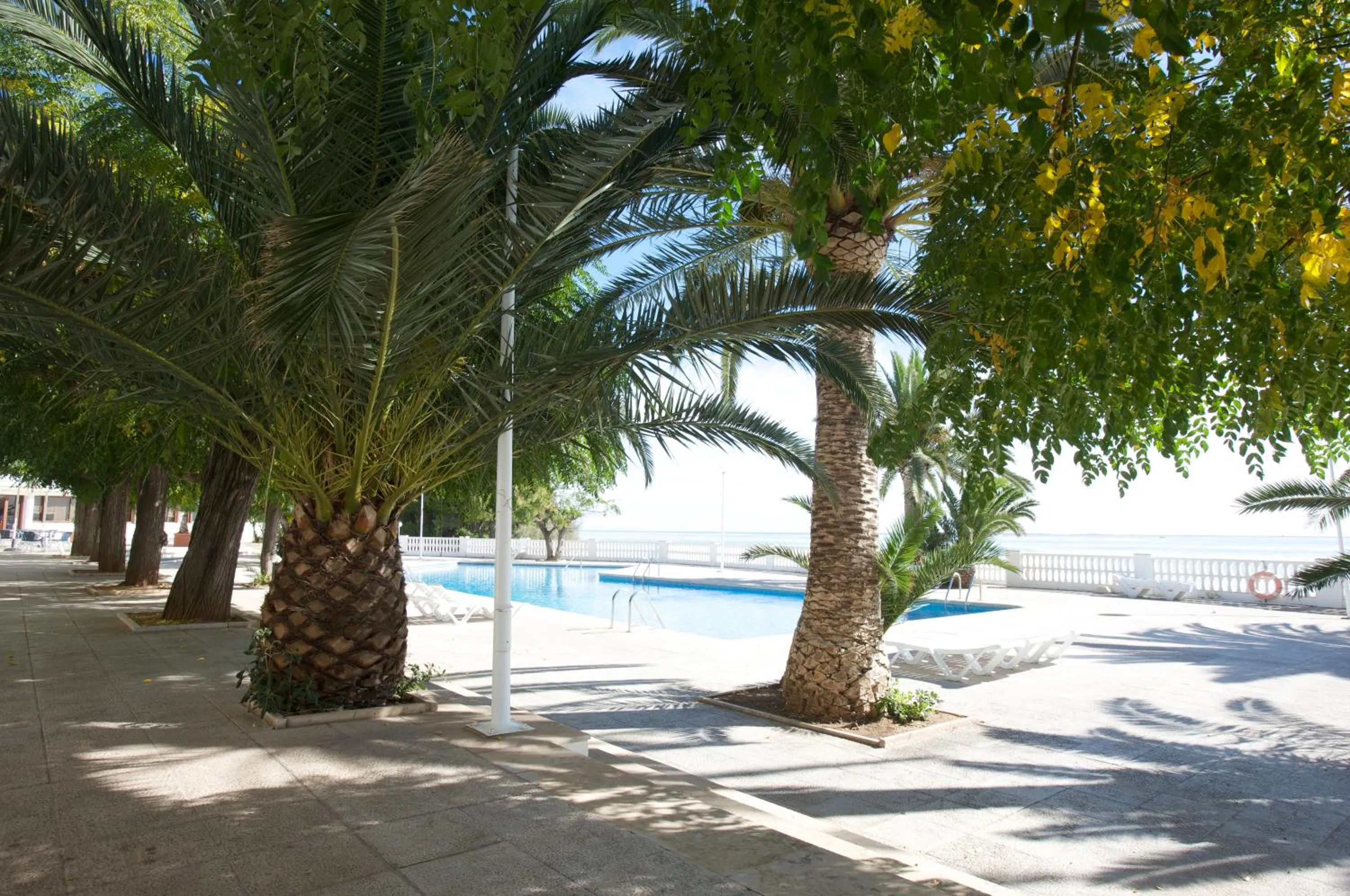 Swimming pool in Carlos III