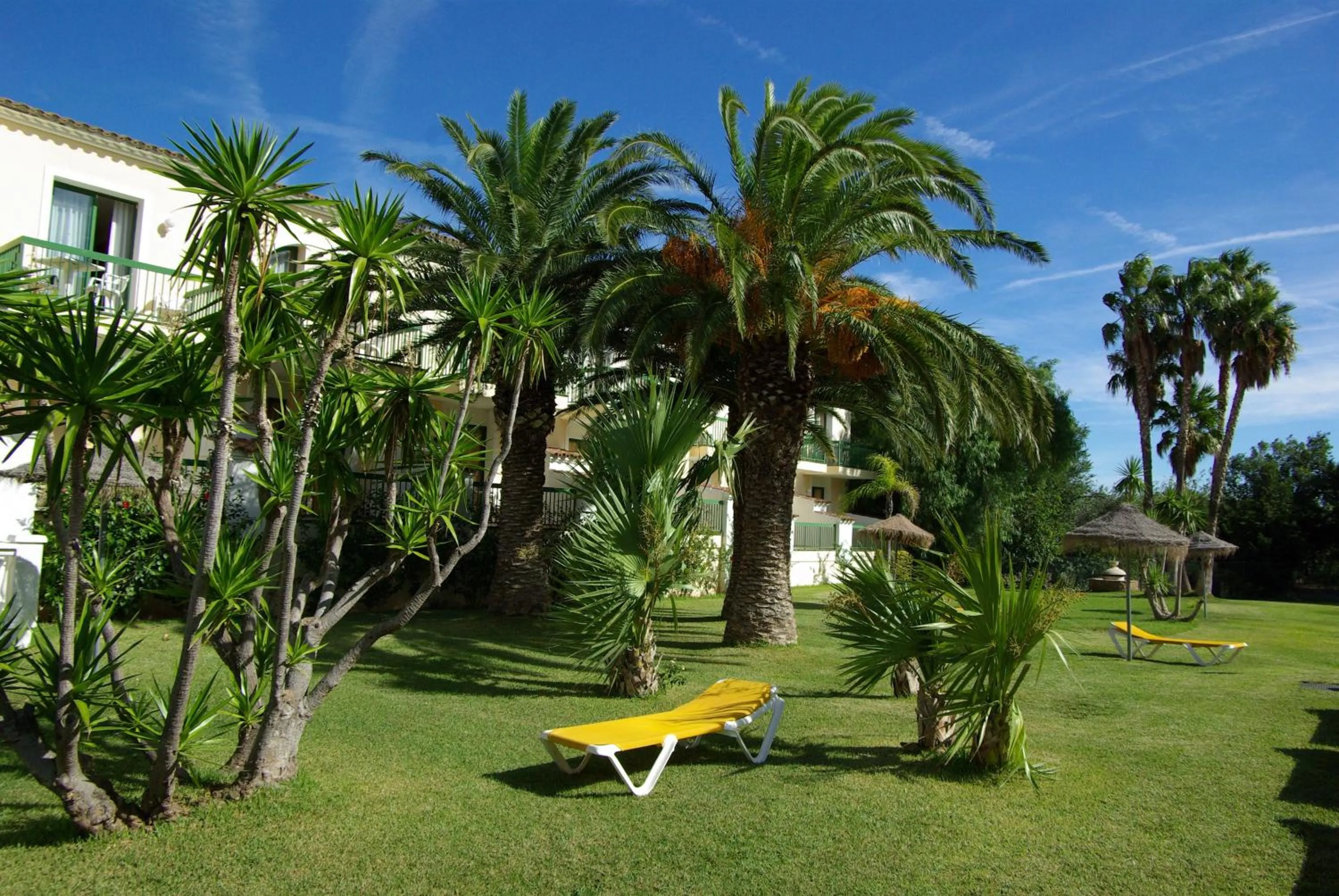 Garden in ALEGRIA Pino Alto