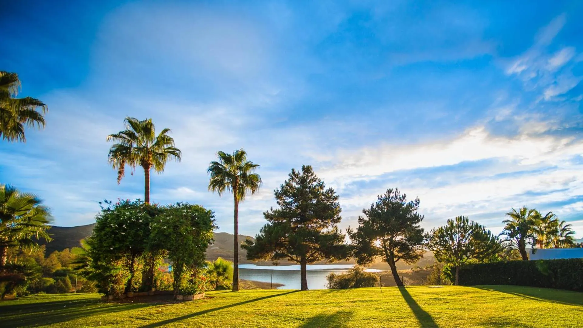 Restaurant/places to eat in B bou Hotel La Viñuela & Spa