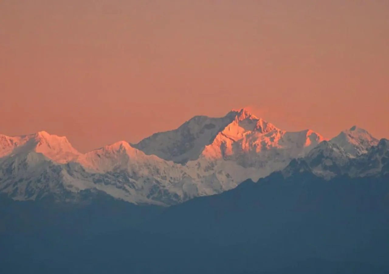 Natural landscape in The Oak Retreat Lamahatta