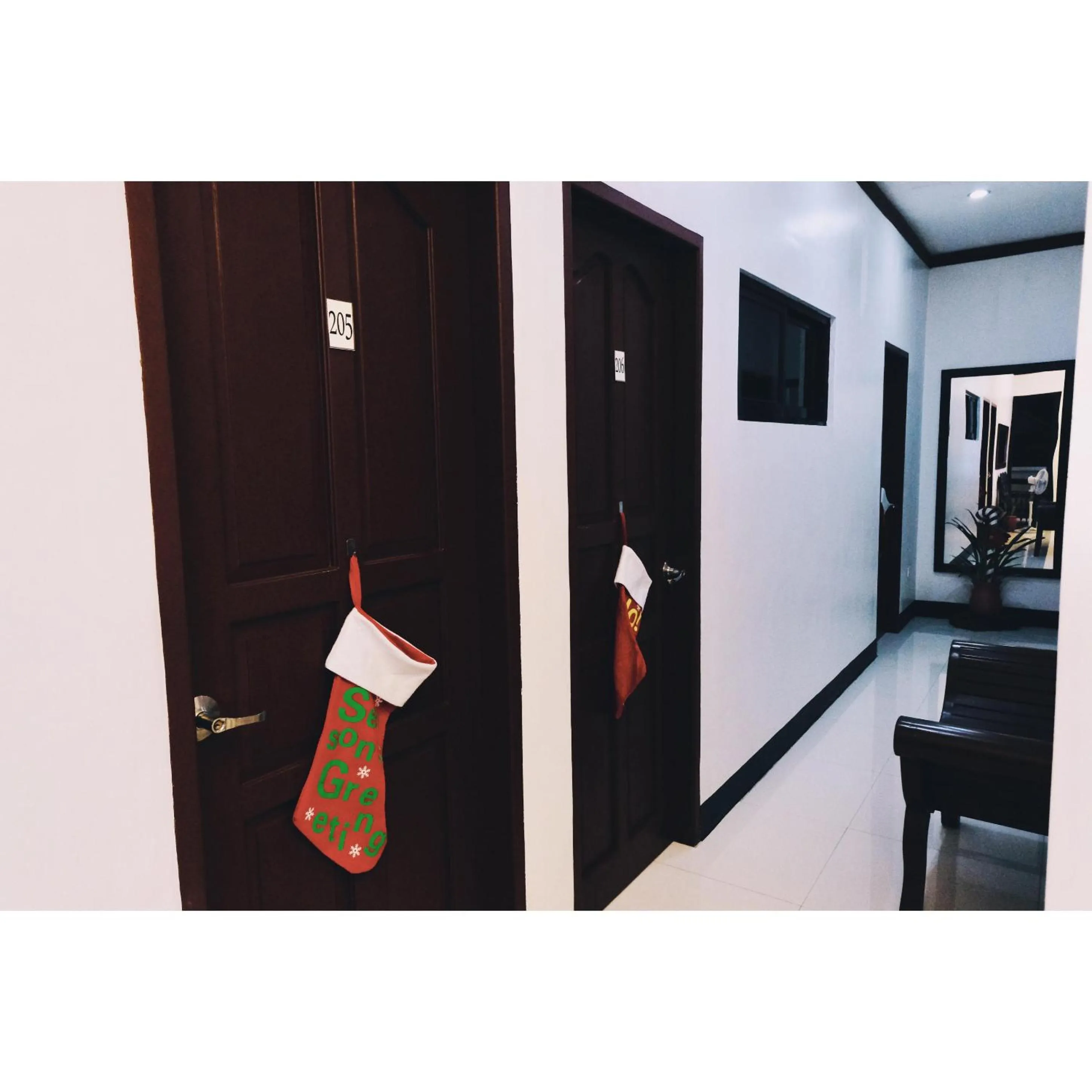 Area and facilities in Endless Summer Hotel Baler