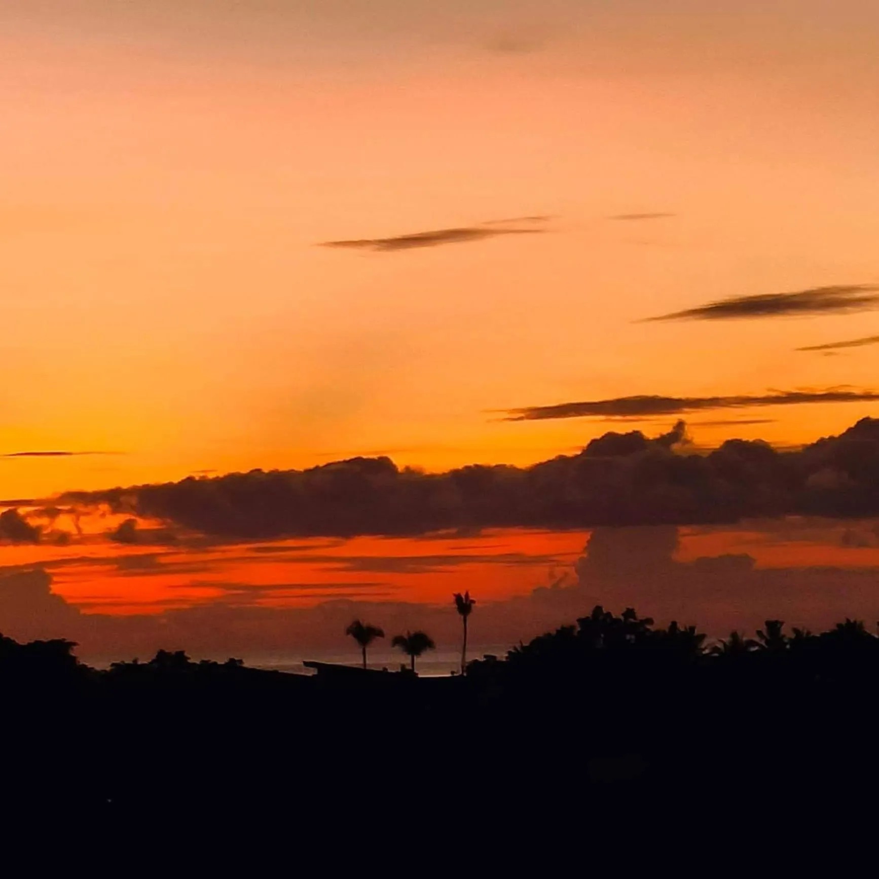 View (from property/room) in Endless Summer Hotel Baler