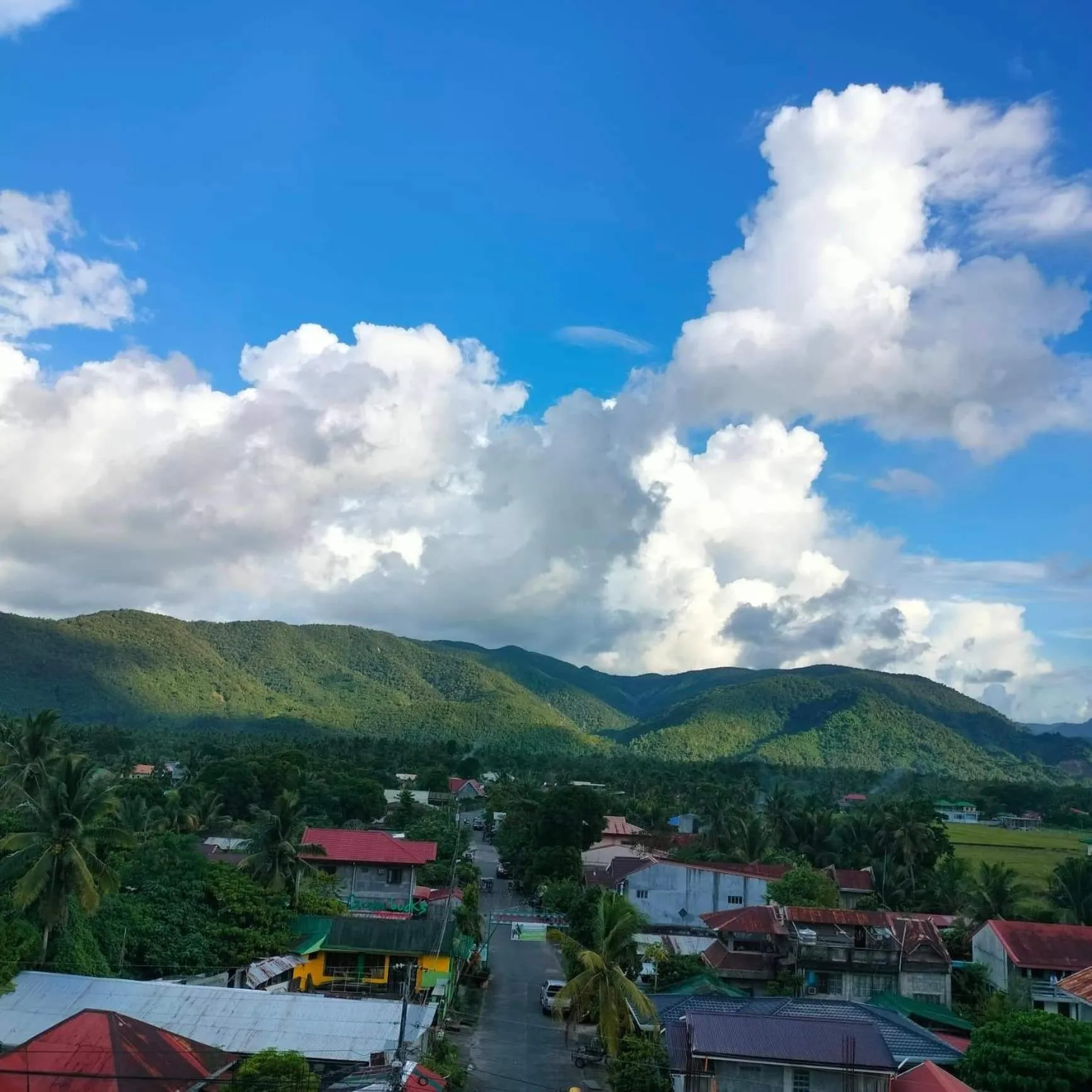 Day in Endless Summer Hotel Baler