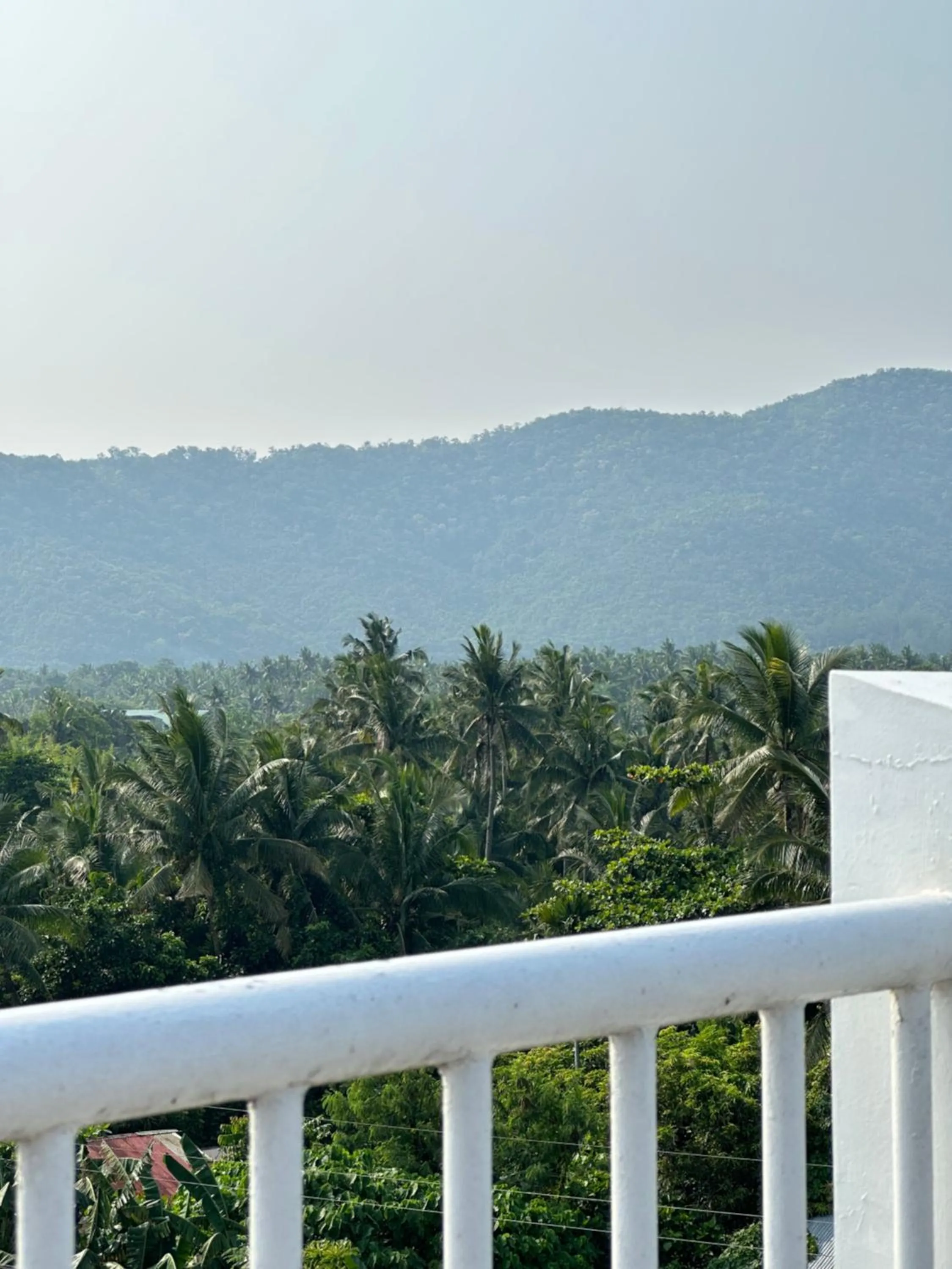 Endless Summer Hotel Baler