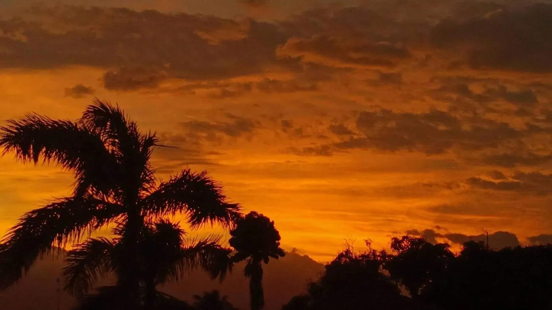 View (from property/room) in Endless Summer Hotel Baler