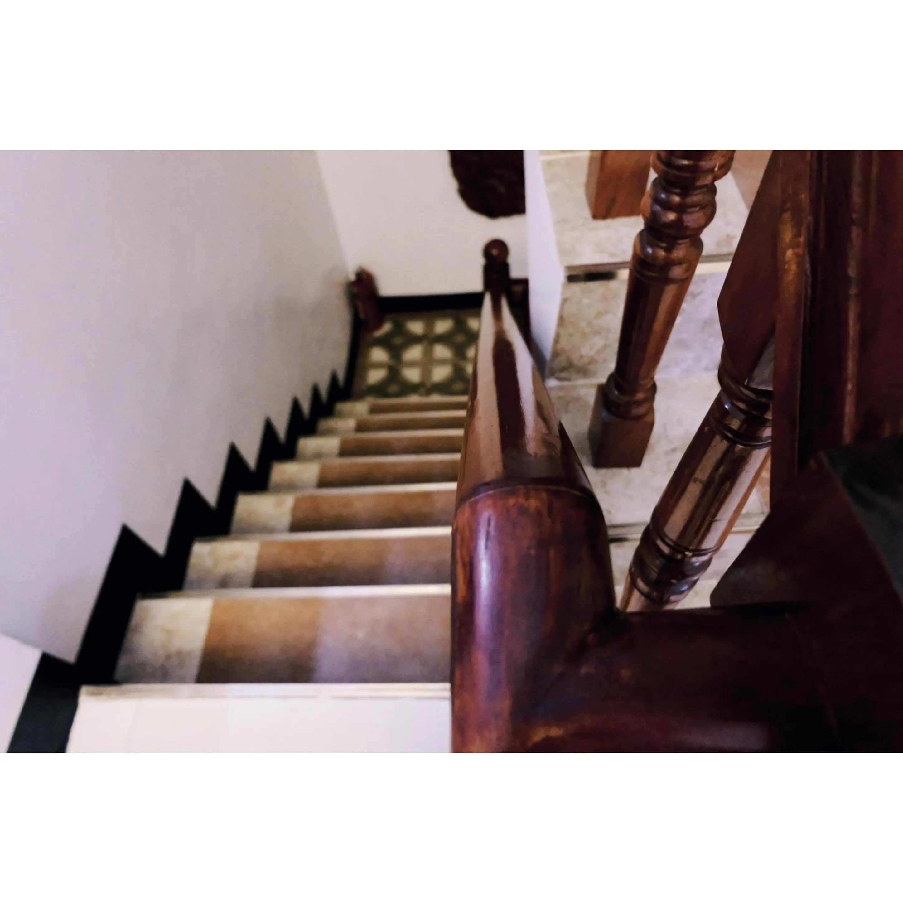 Area and facilities in Endless Summer Hotel Baler