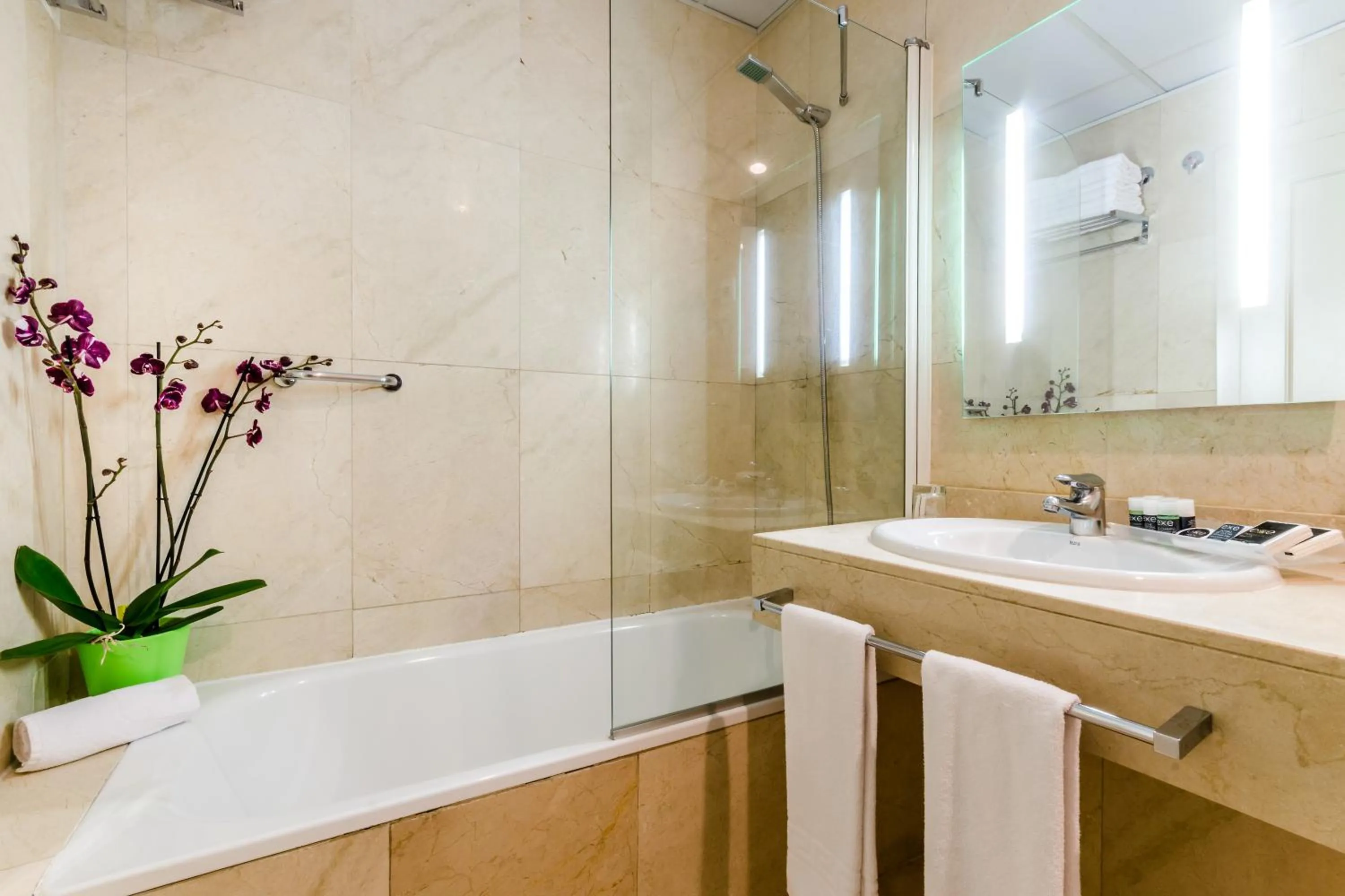 Shower in Exe Suites 33