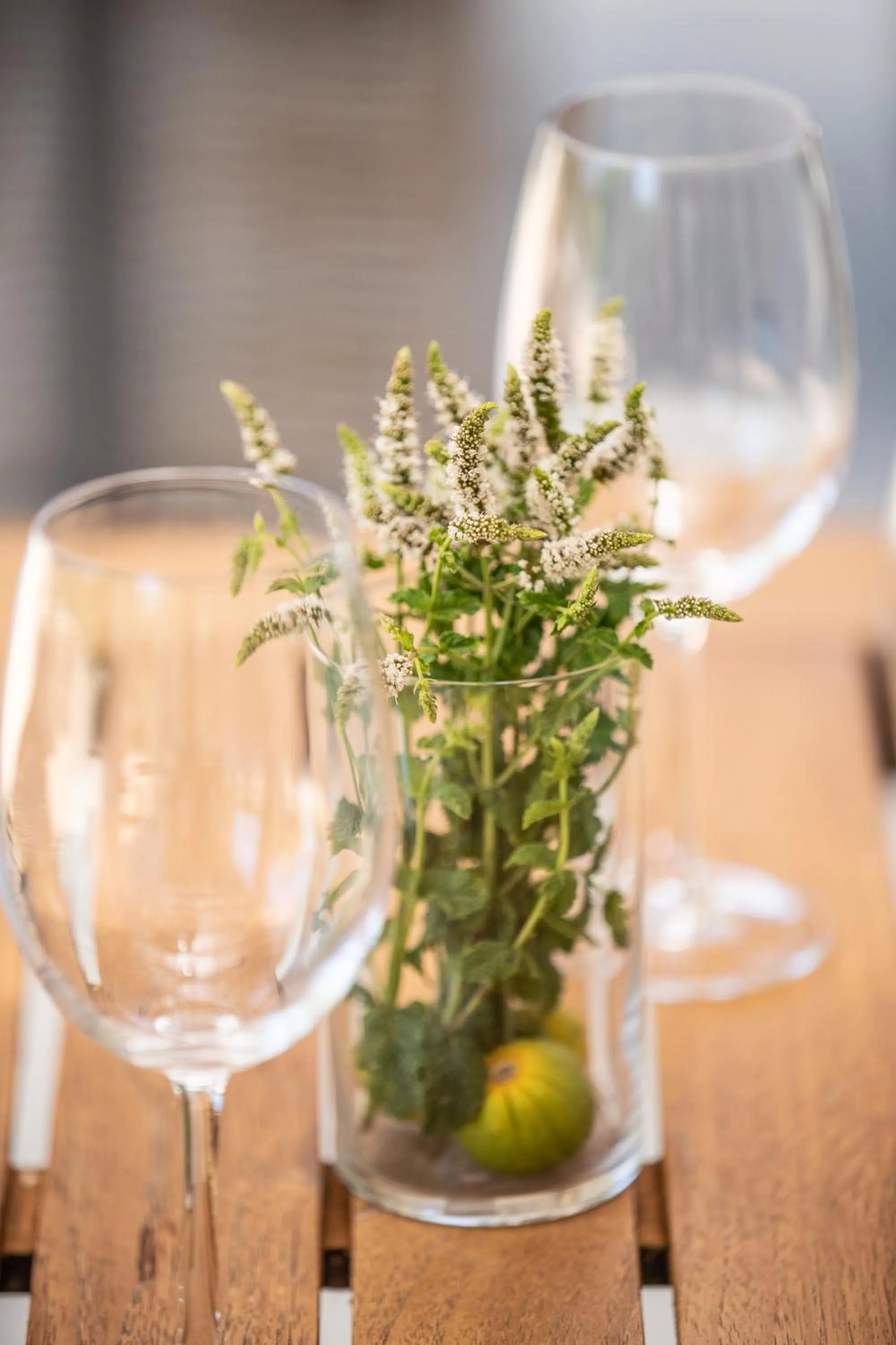 Can Arabí - Adults Only