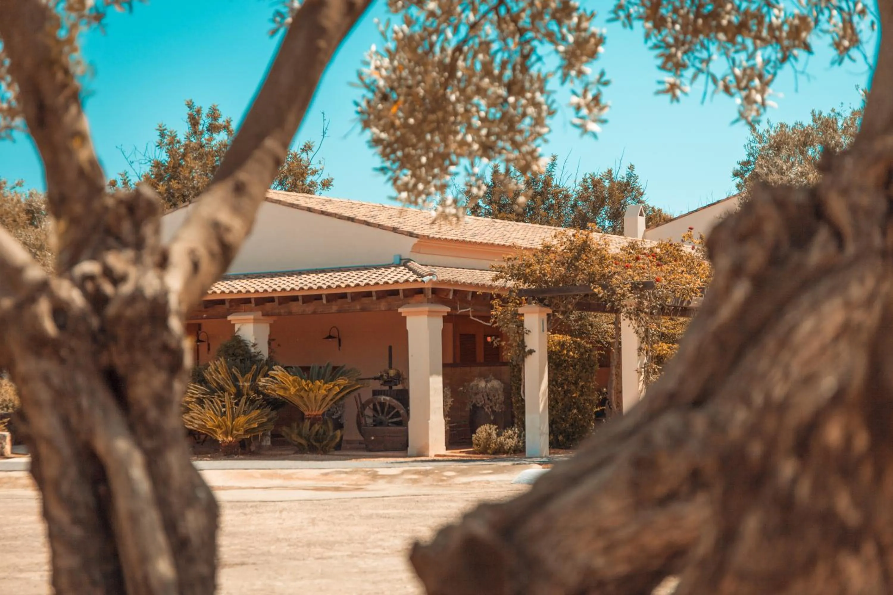 Facade/entrance in Can Arabí - Adults Only