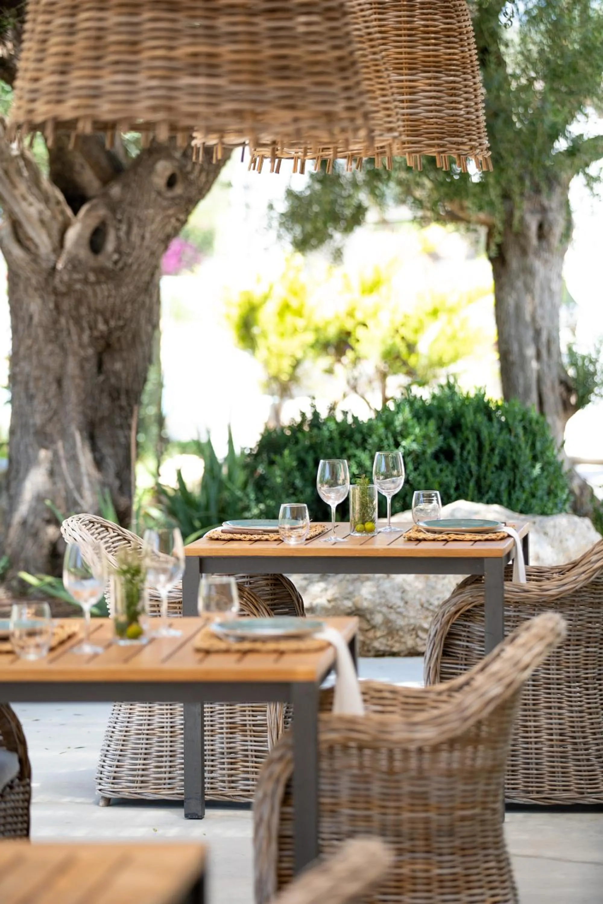 Can Arabí - Adults Only