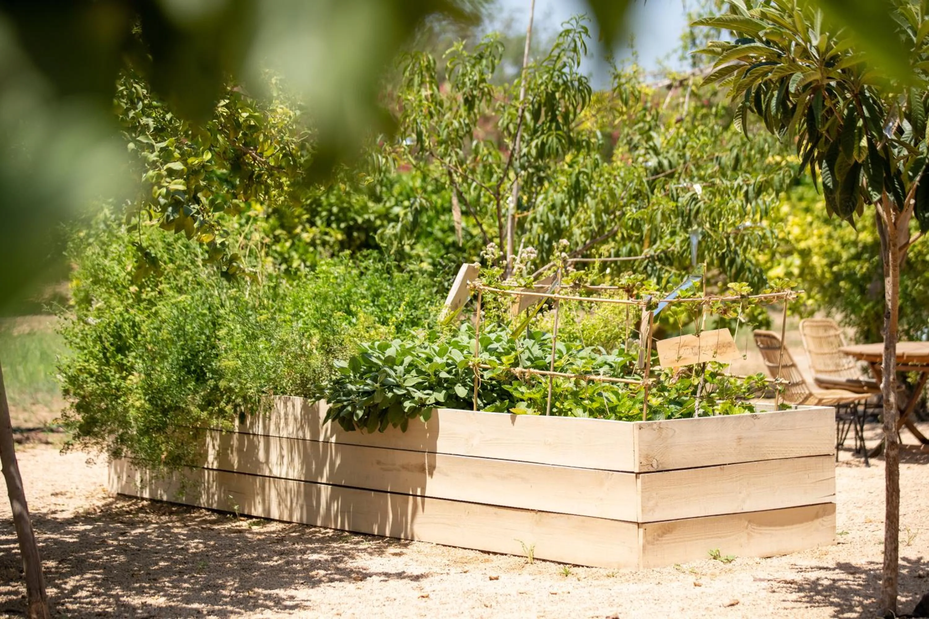 Can Arabí - Adults Only