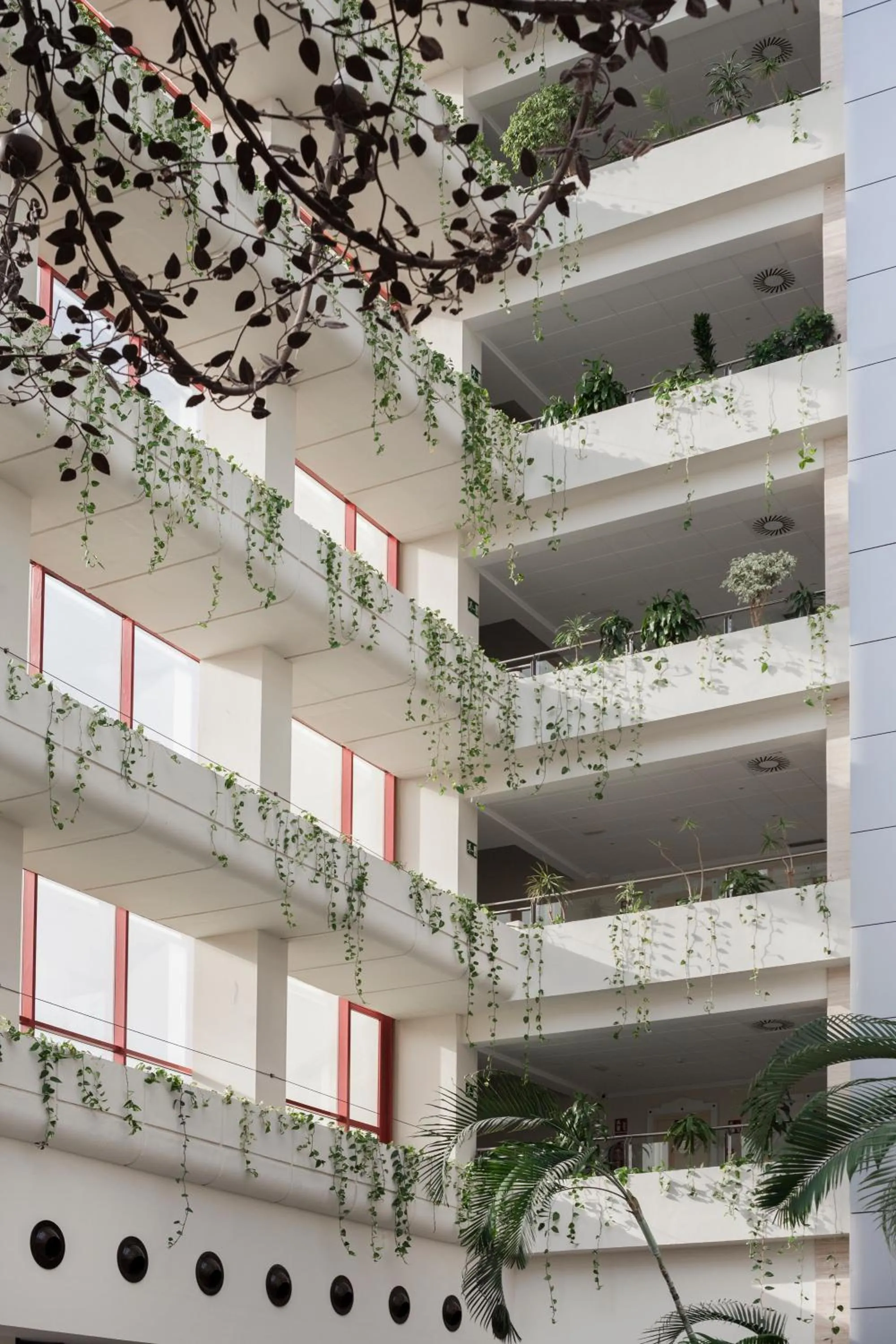 Lobby or reception in Ibersol Almuñecar Beach & Spa Hotel