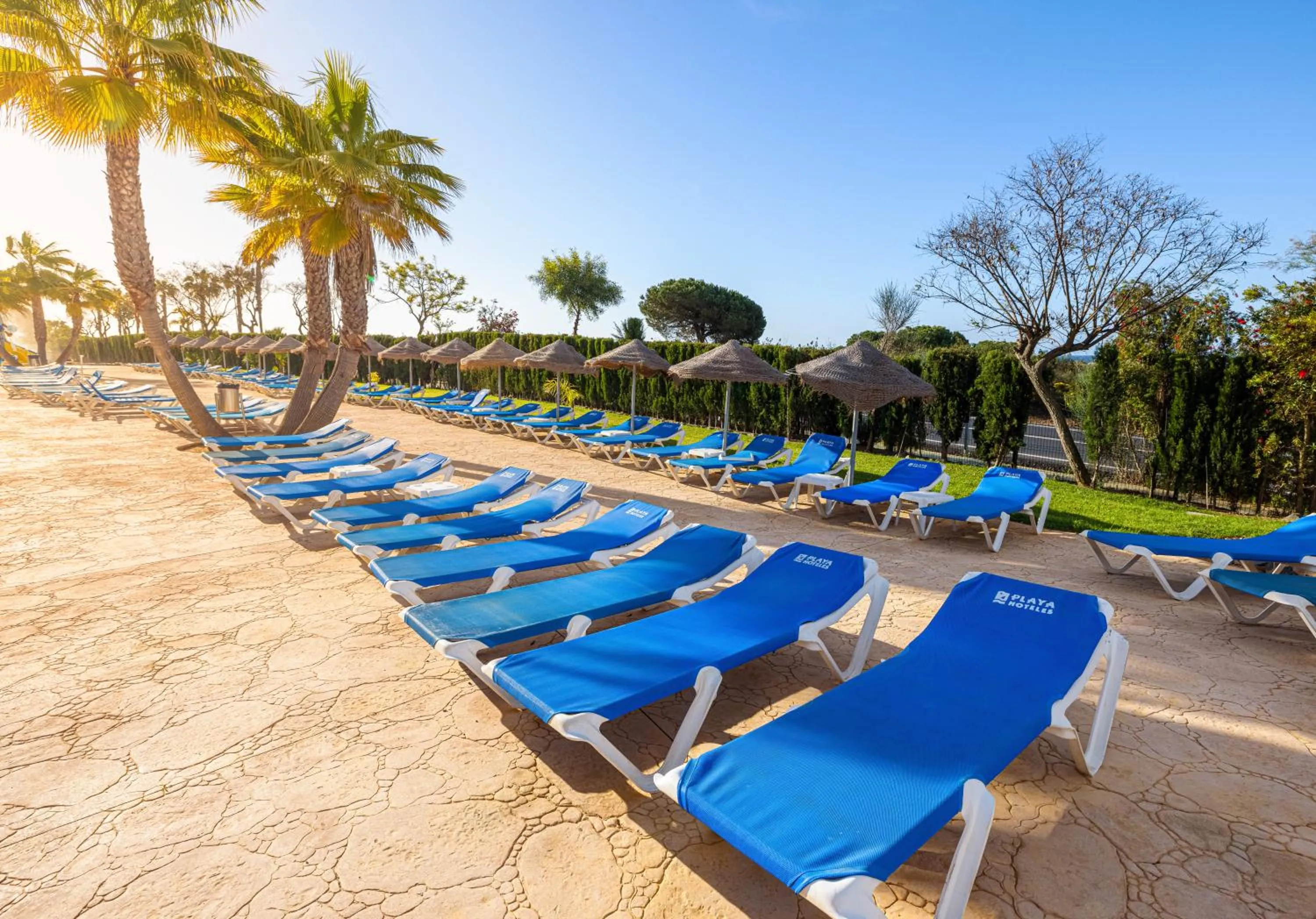 Area and facilities in Playacartaya