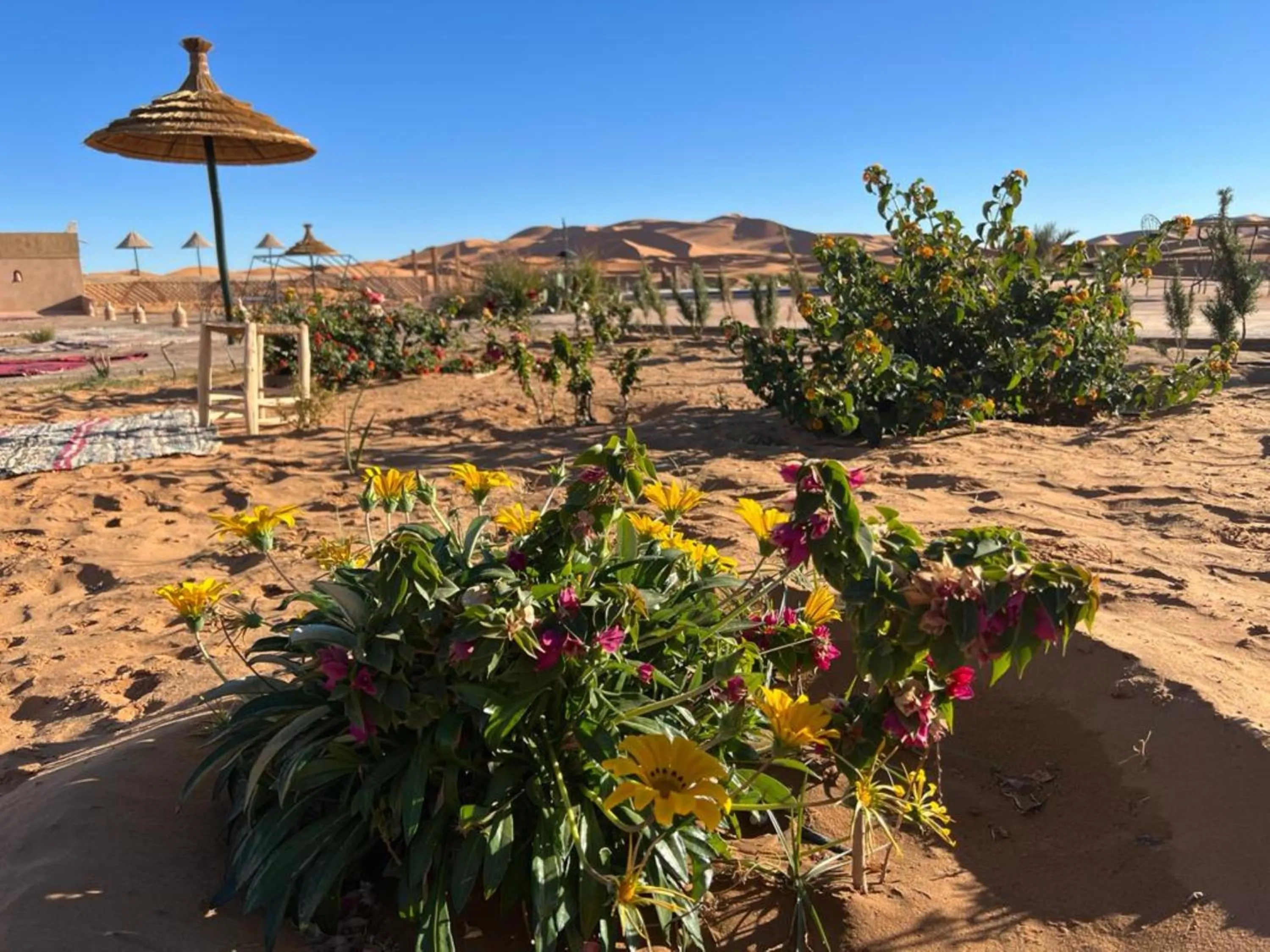 Garden in Yakout Merzouga Luxury Camp