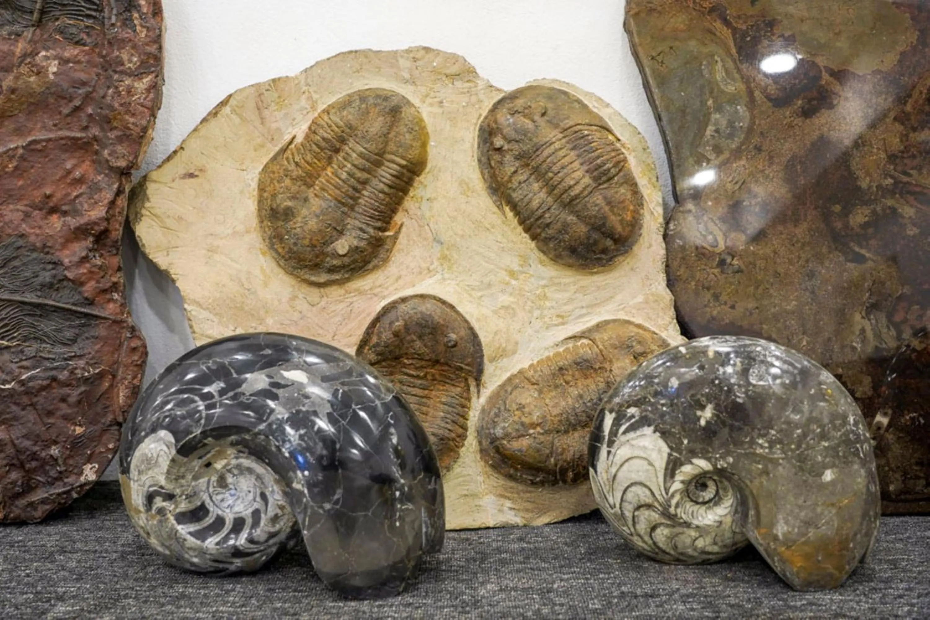 Activities in Yakout Merzouga Luxury Camp