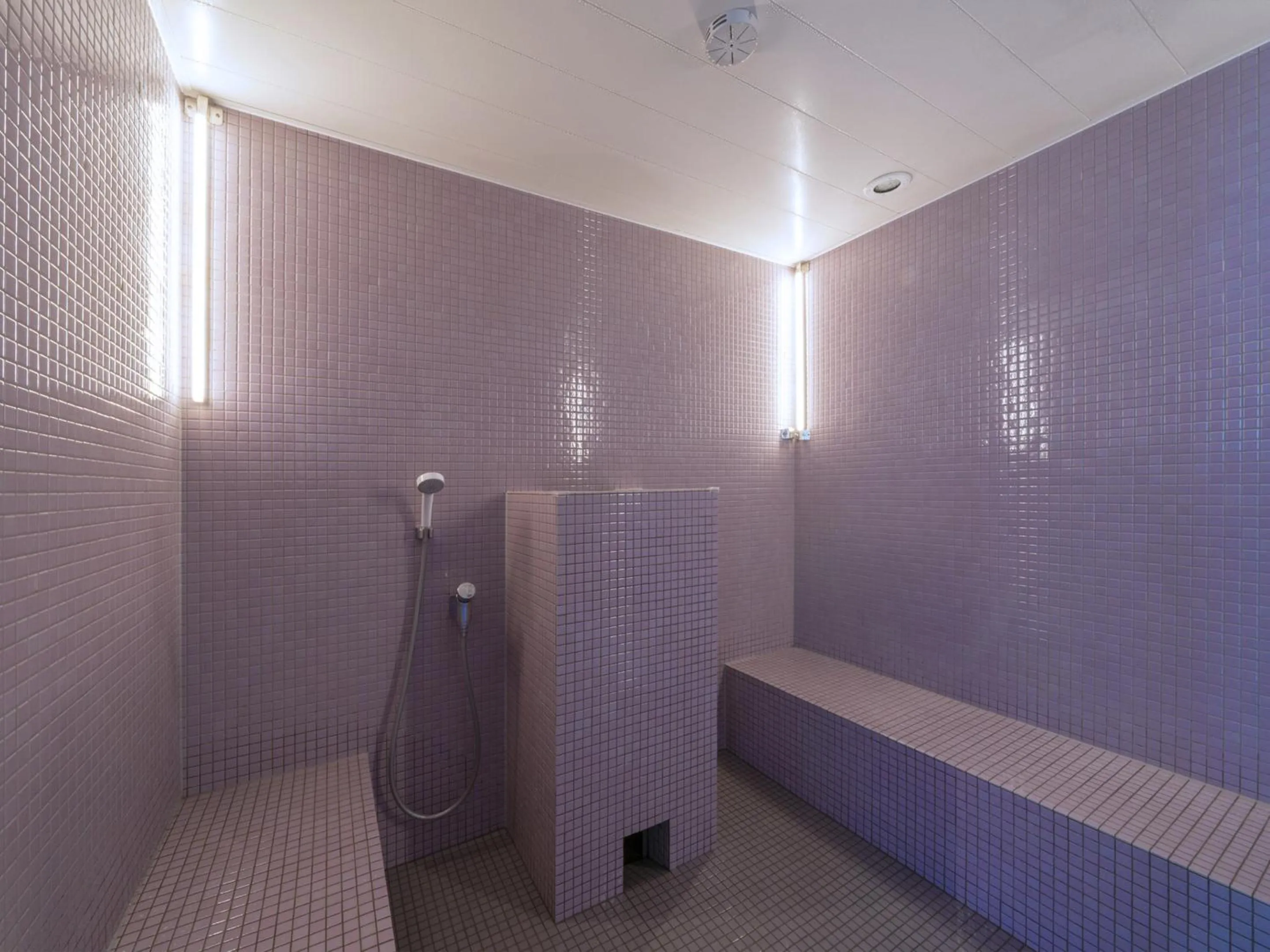 Sauna in GINZA HOTEL by GRANBELL