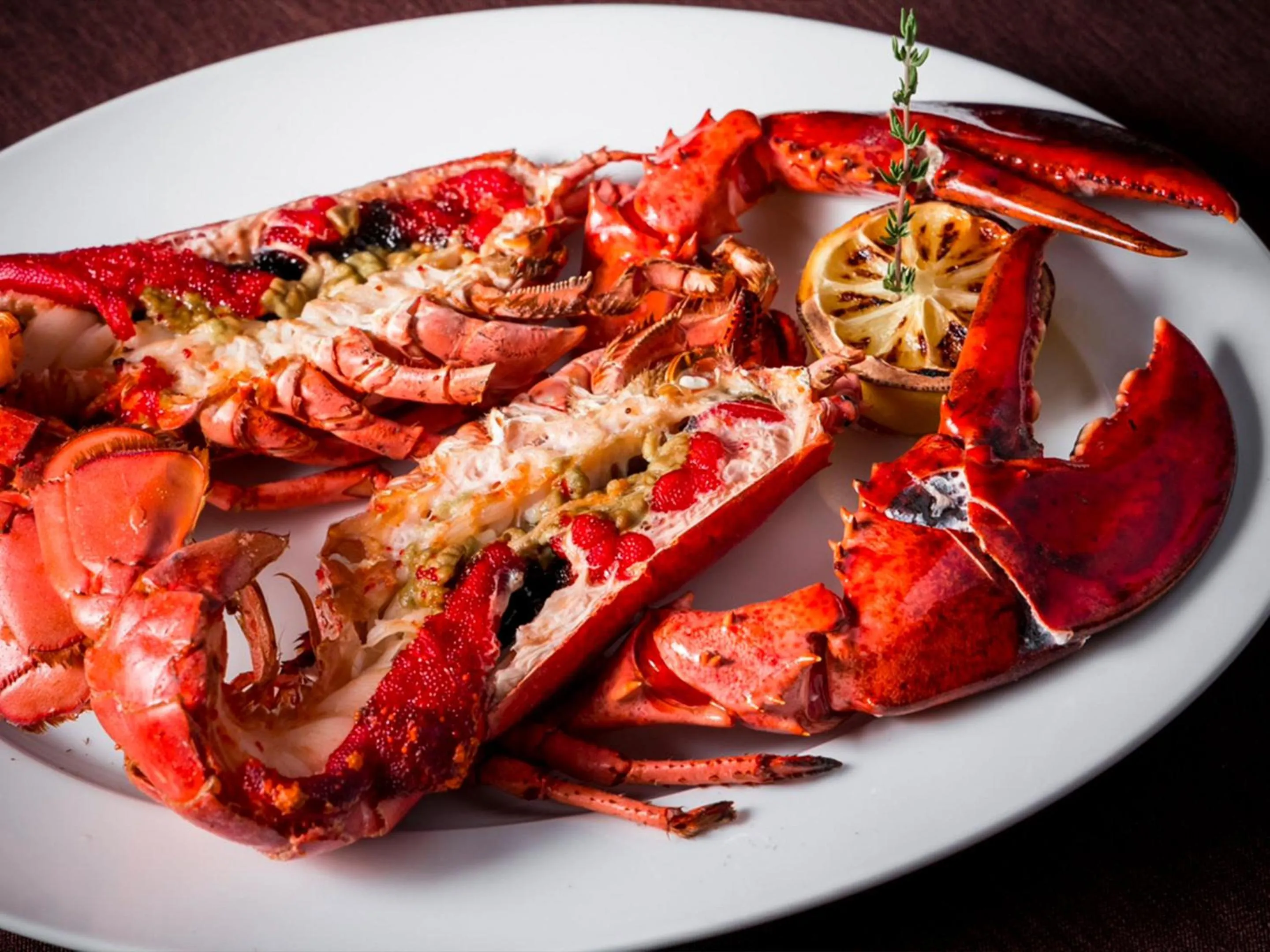 Restaurant/places to eat in GINZA HOTEL by GRANBELL