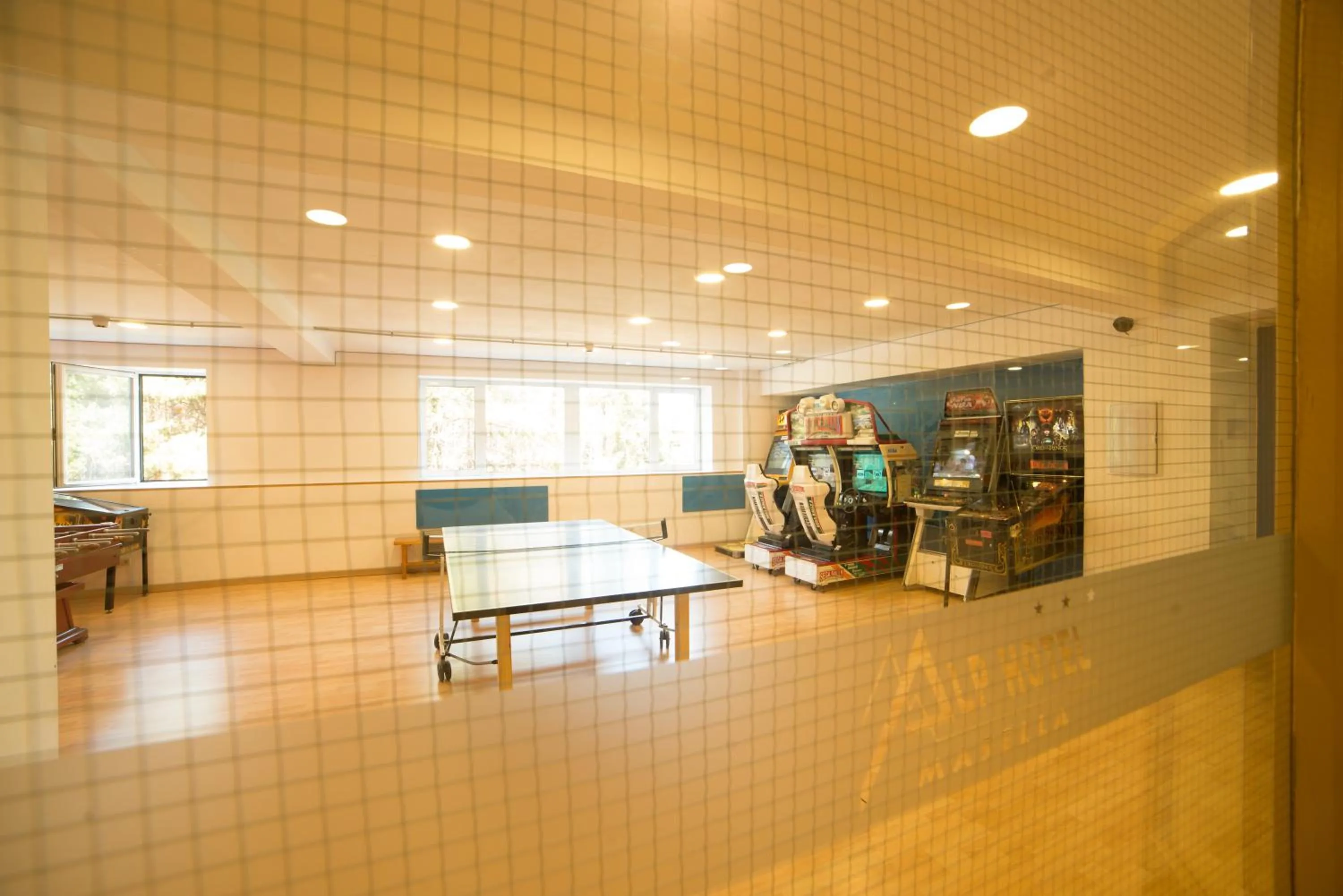 Game Room in Alp Hotel Masella