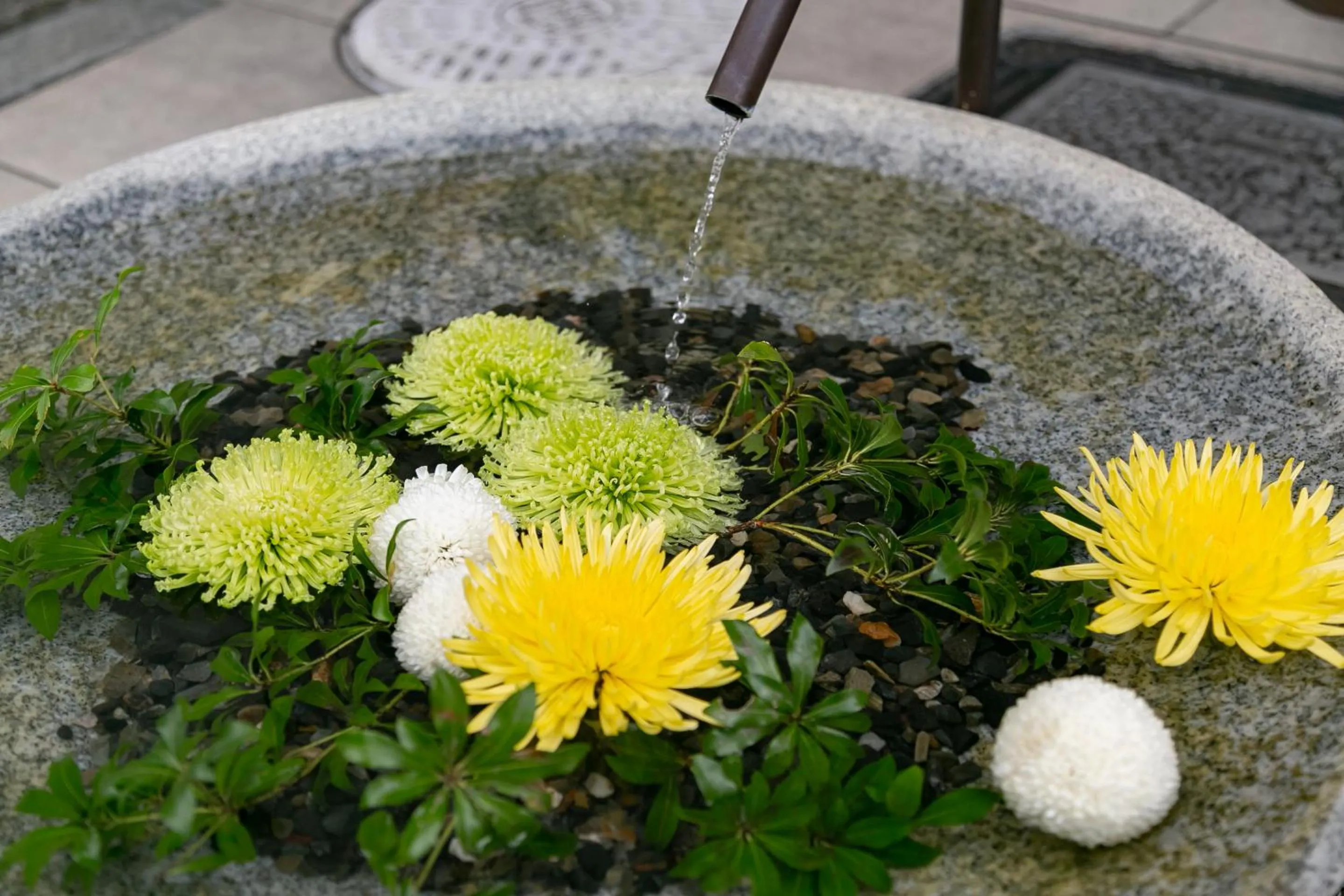 Day in THE GENERAL KYOTO Shijou Shinmachi