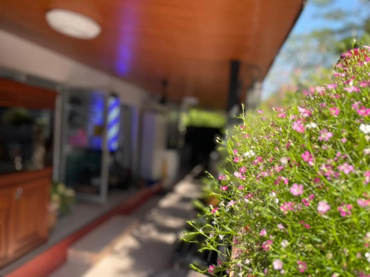 Decorative detail in 66 Apartment