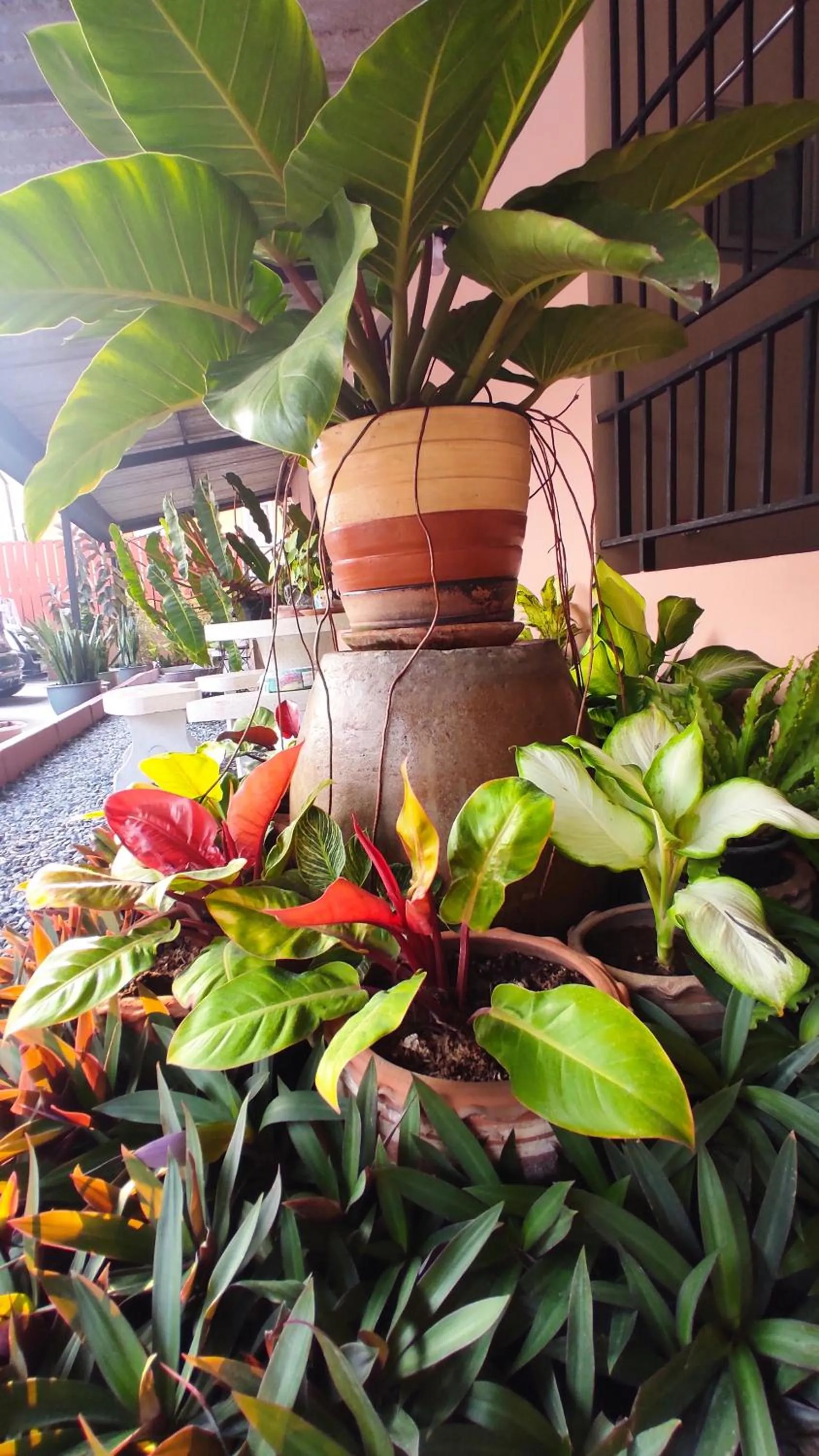 Decorative detail in 66 Apartment