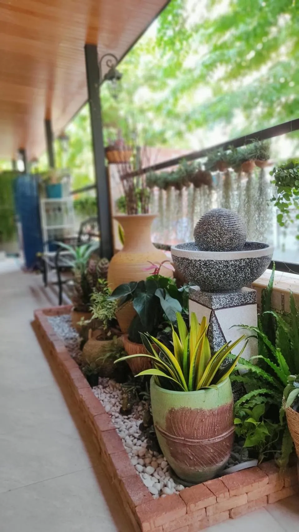 Garden in 66 Apartment