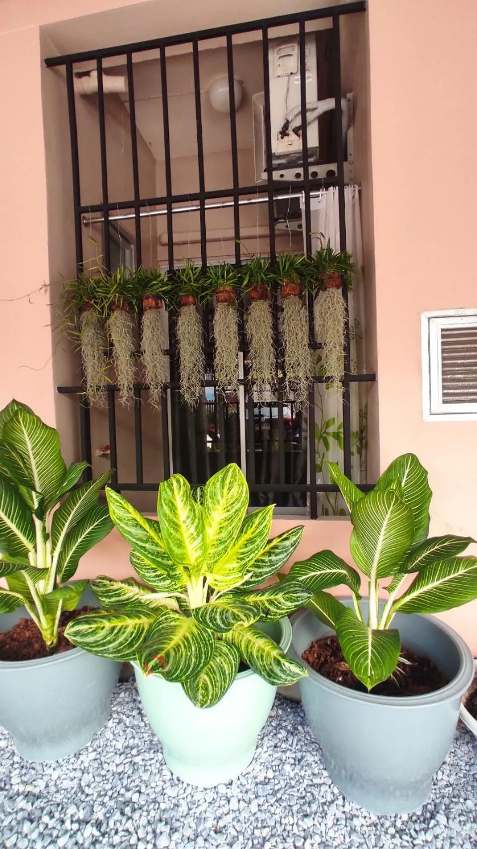 Balcony/Terrace in 66 Apartment