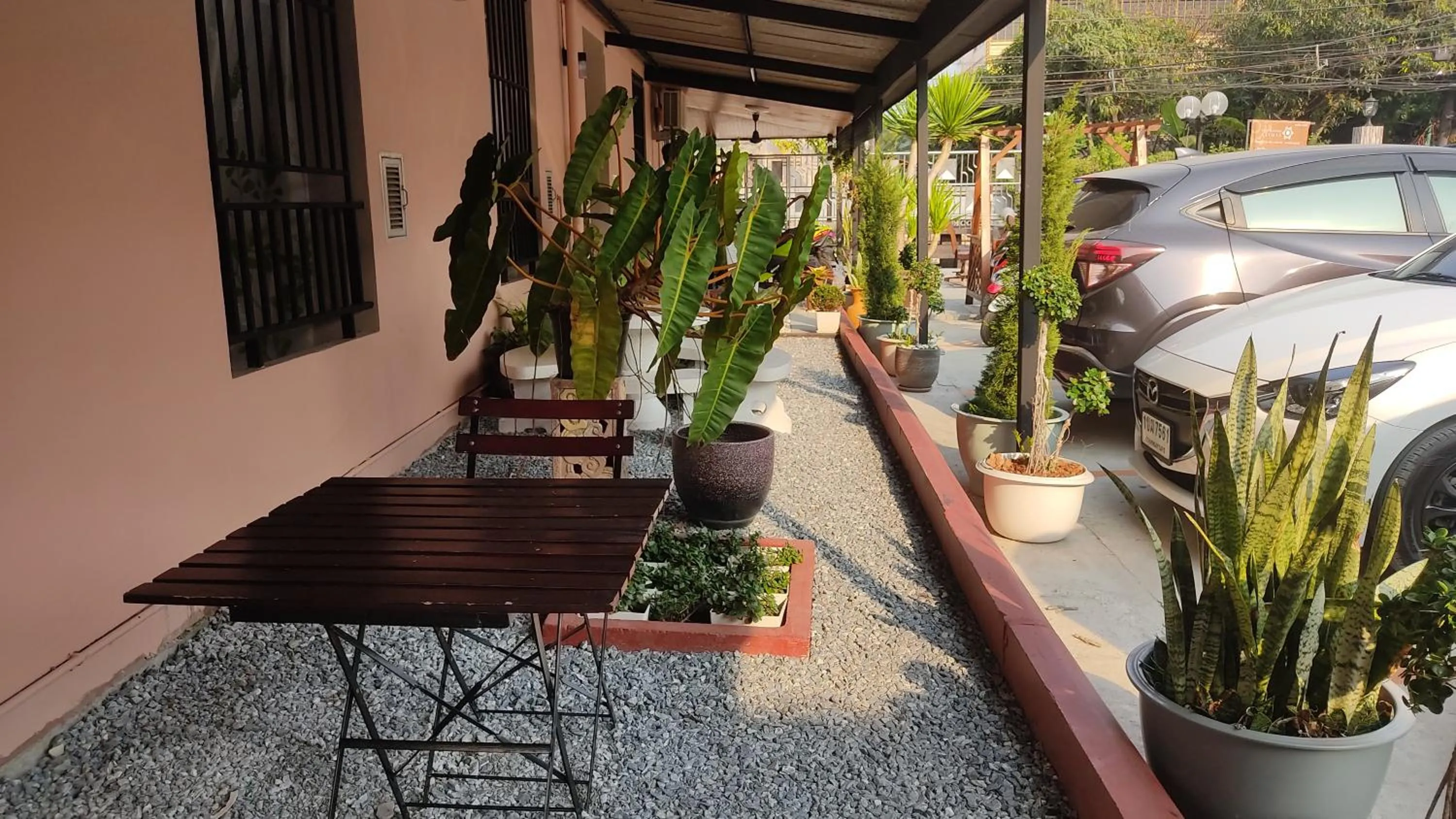 Garden in 66 Apartment