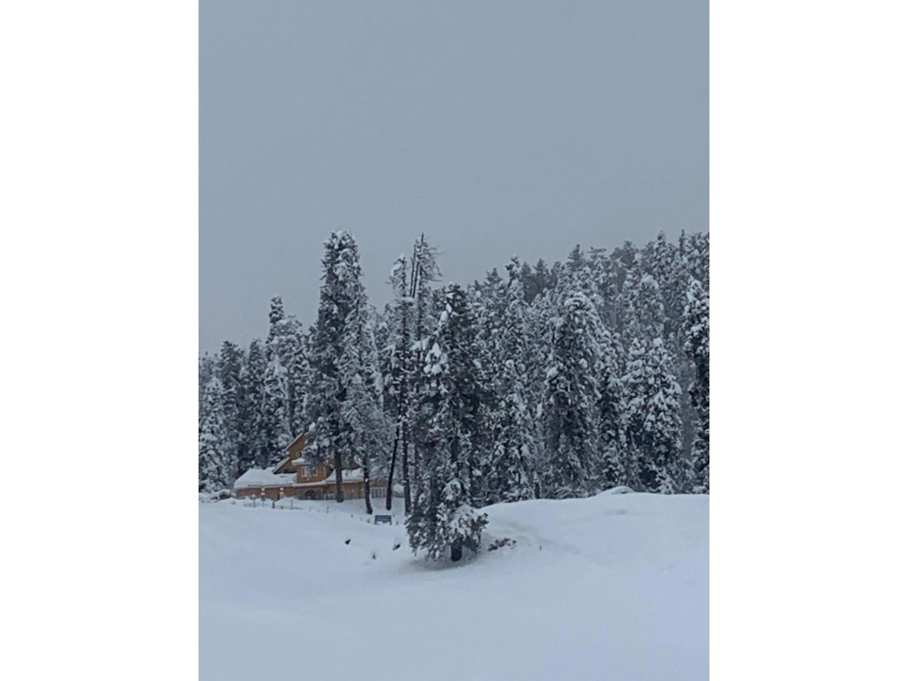 Day in Gulmarg Ski Hill Resort