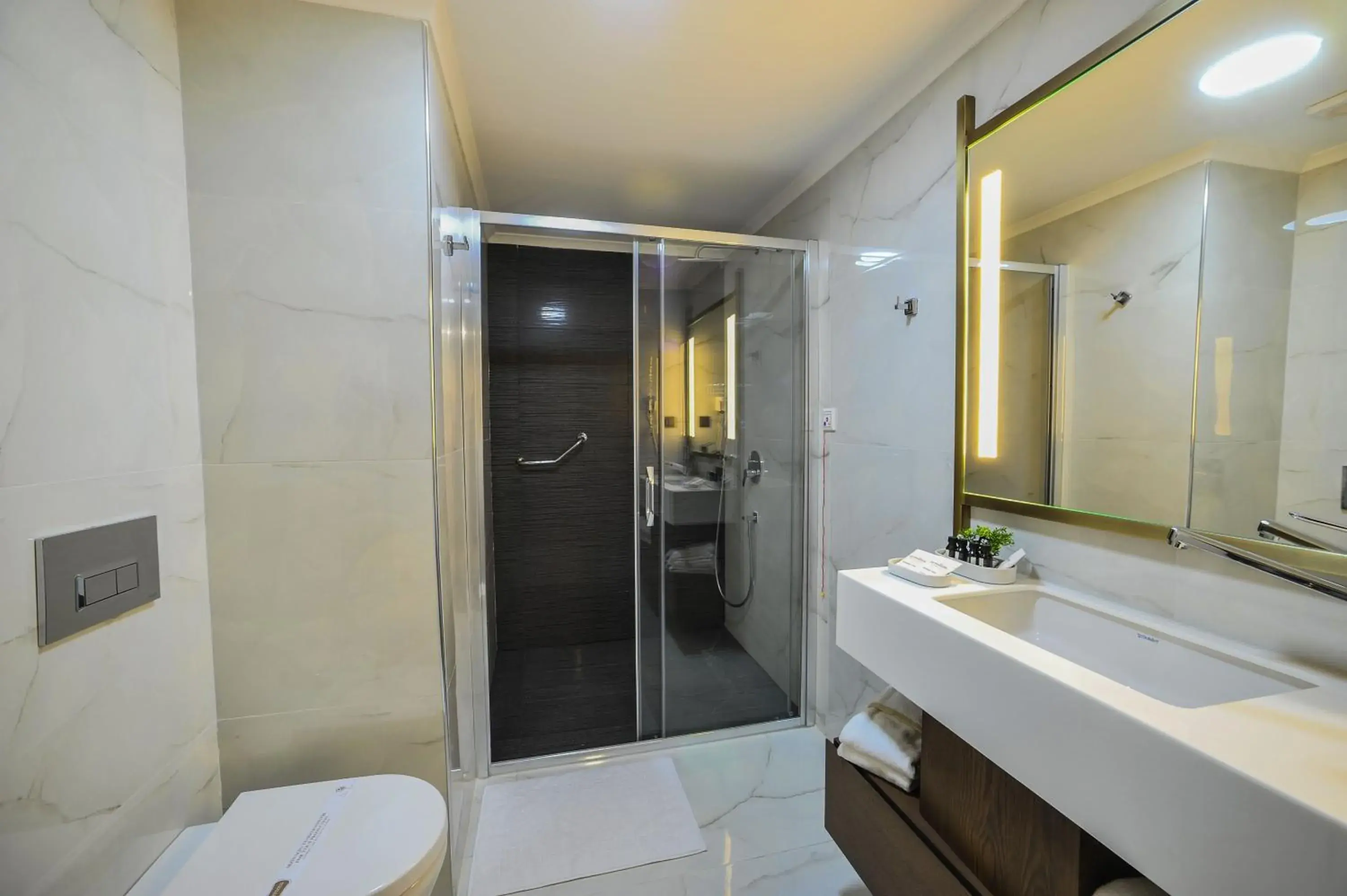 Suite in The Alpfine Hotel Suite in The Alpfine Hotel