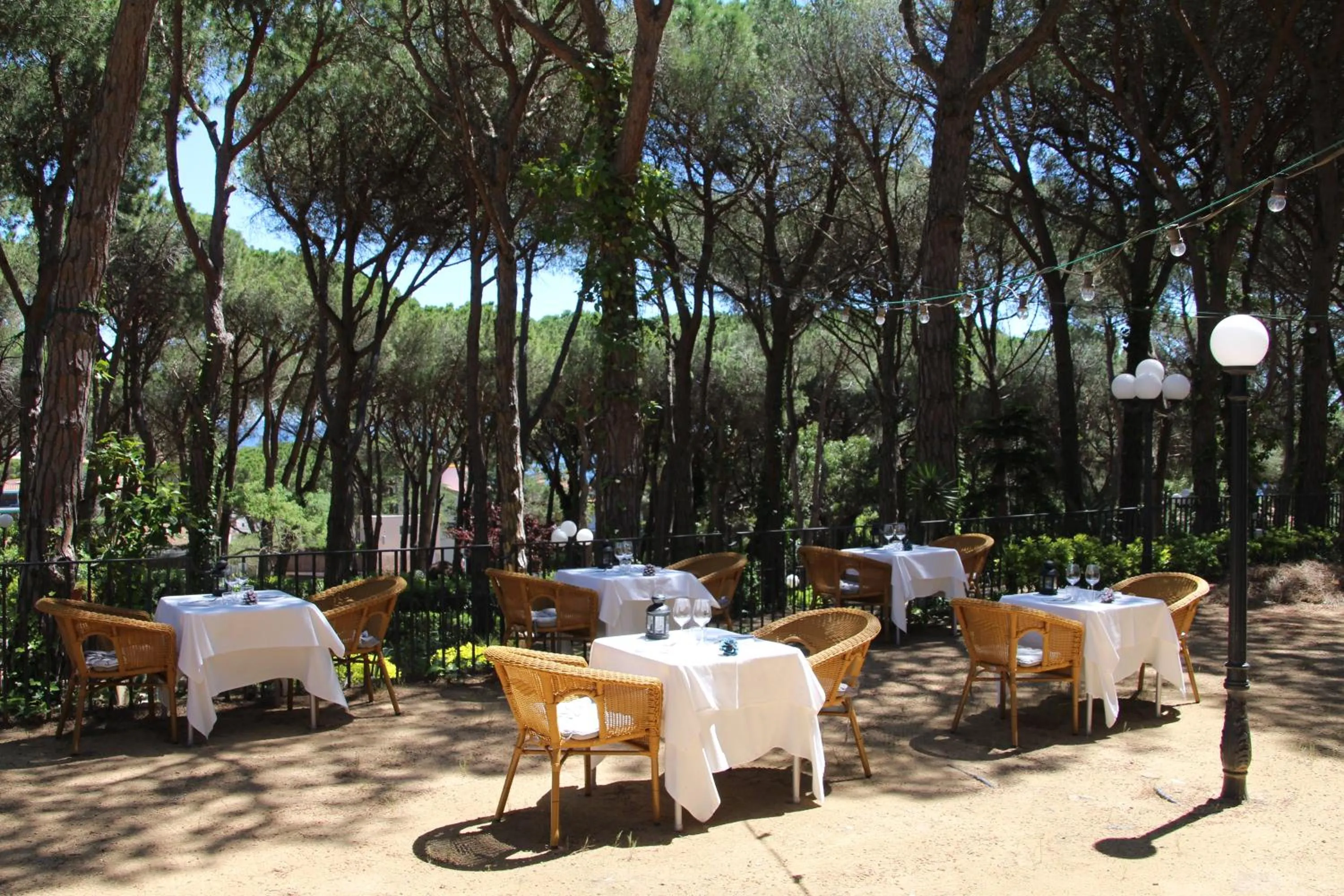 Balcony/Terrace in Hotel Garbi