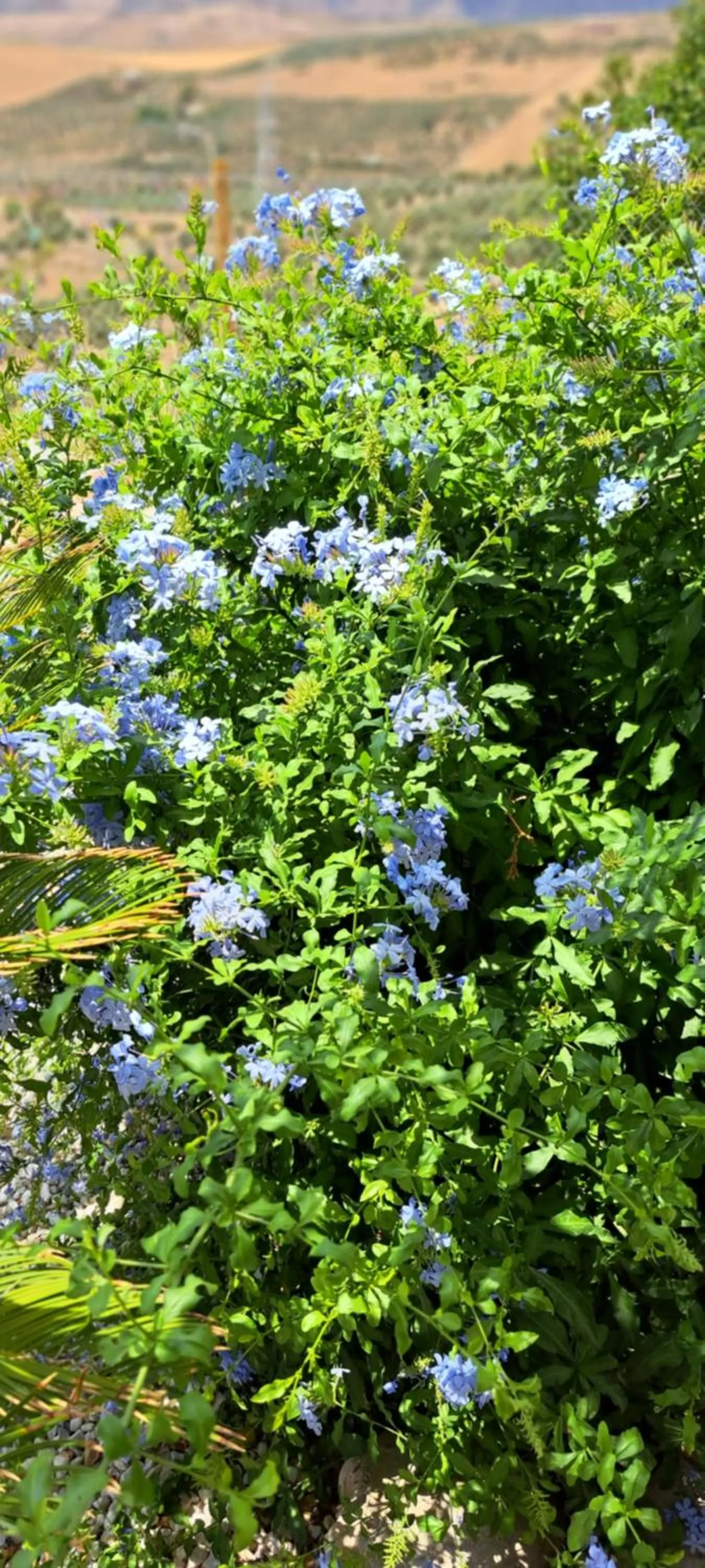 Property building in B&B Casa Loré D'or