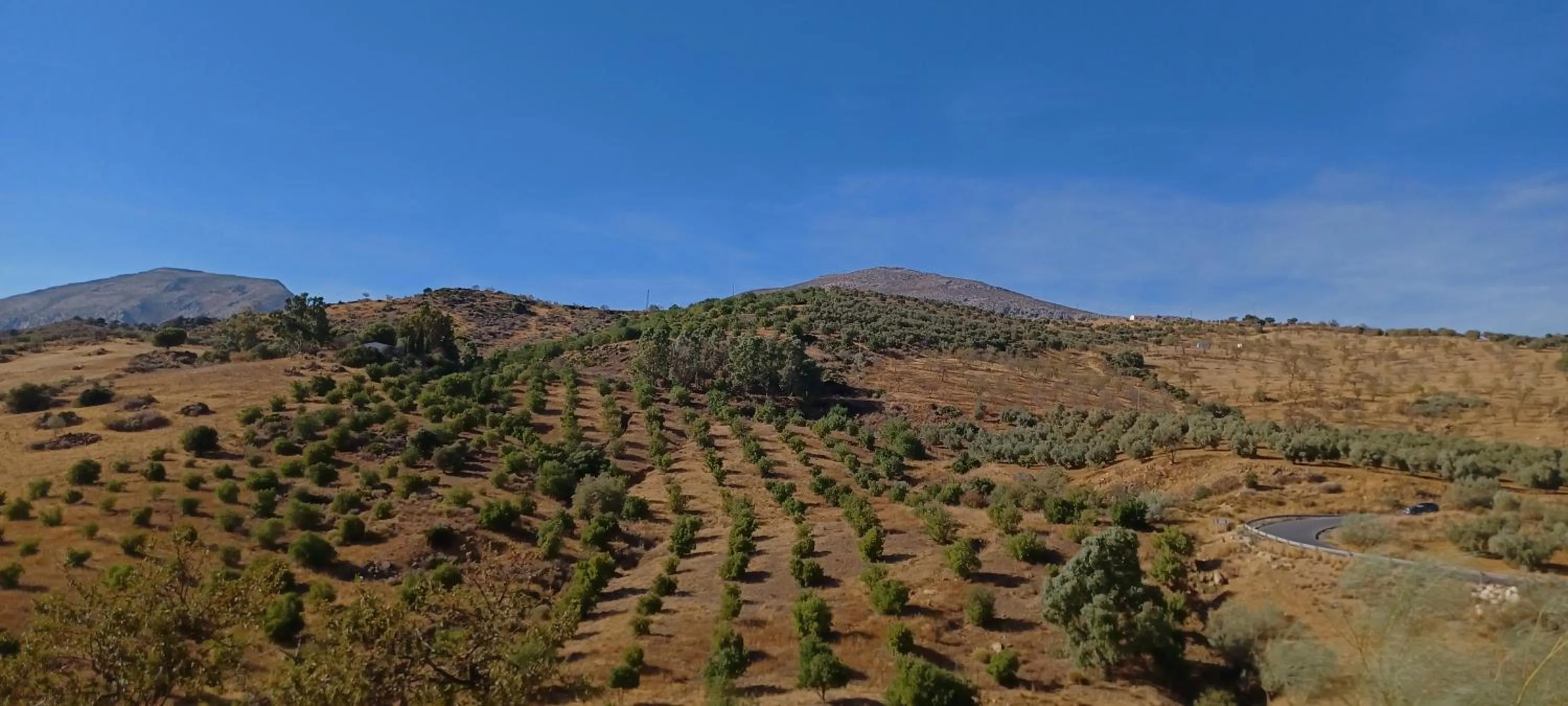 Mountain view in B&B Casa Loré D'or