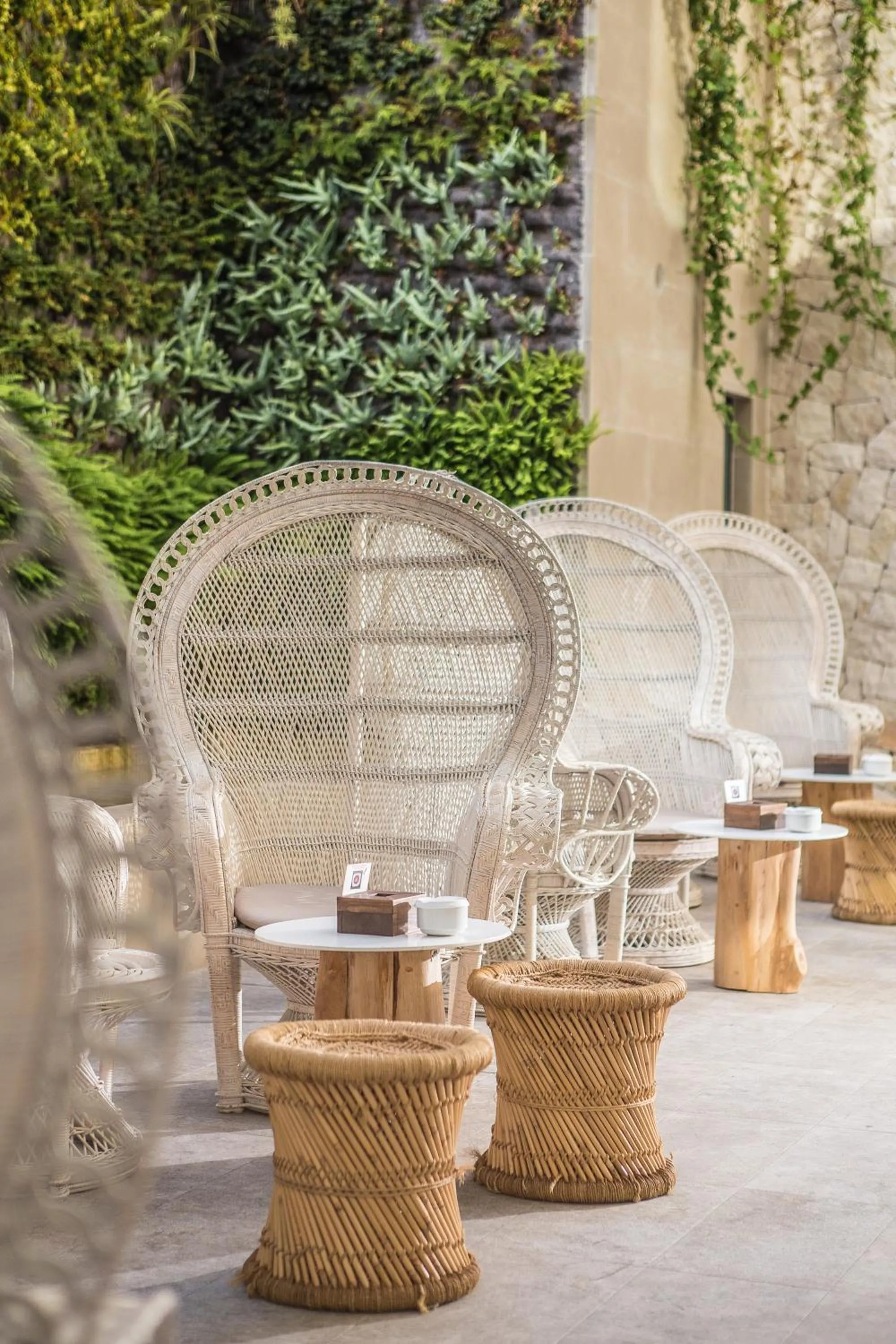 Patio in Hotel Cap Negret