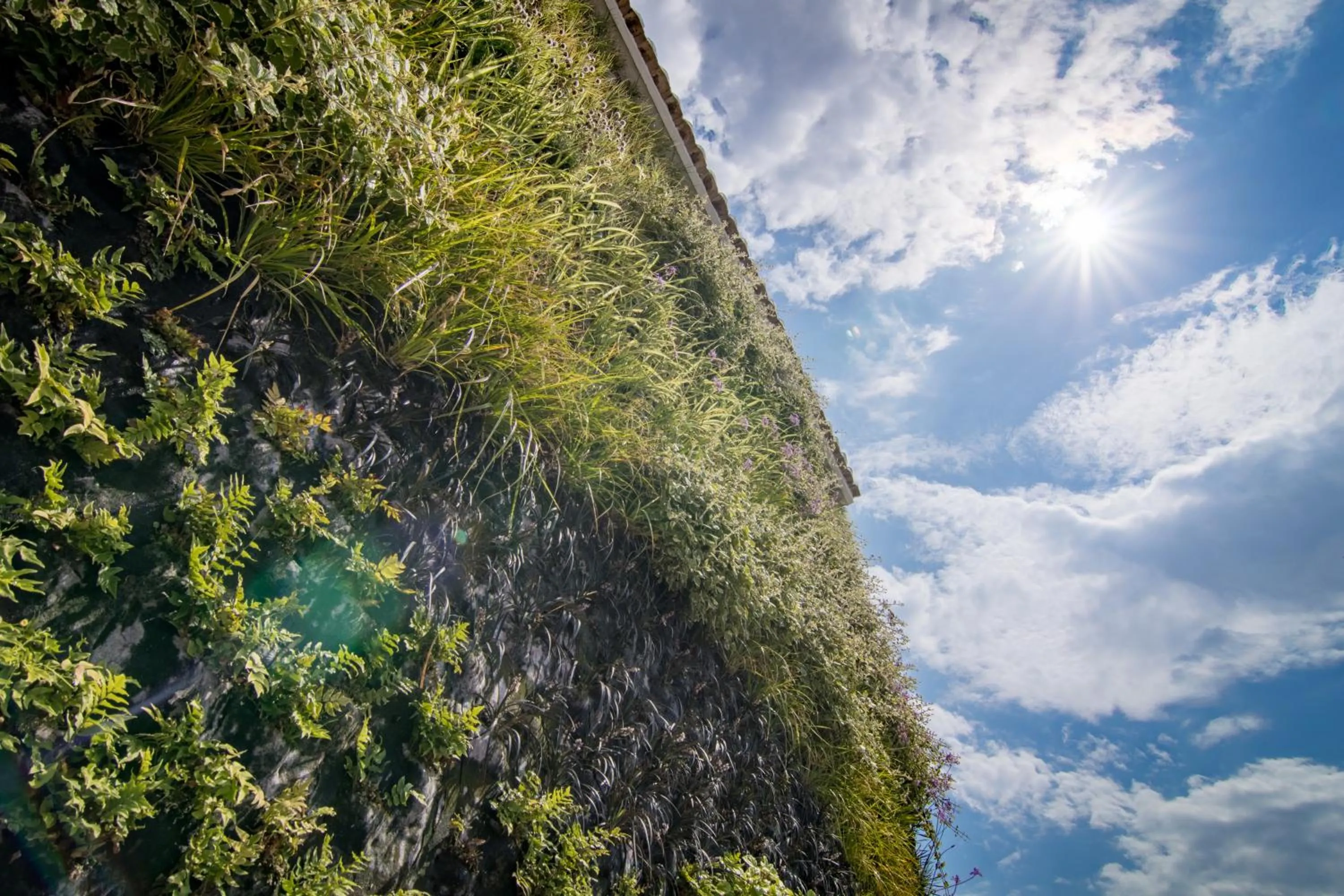 Garden in Hotel Cap Negret