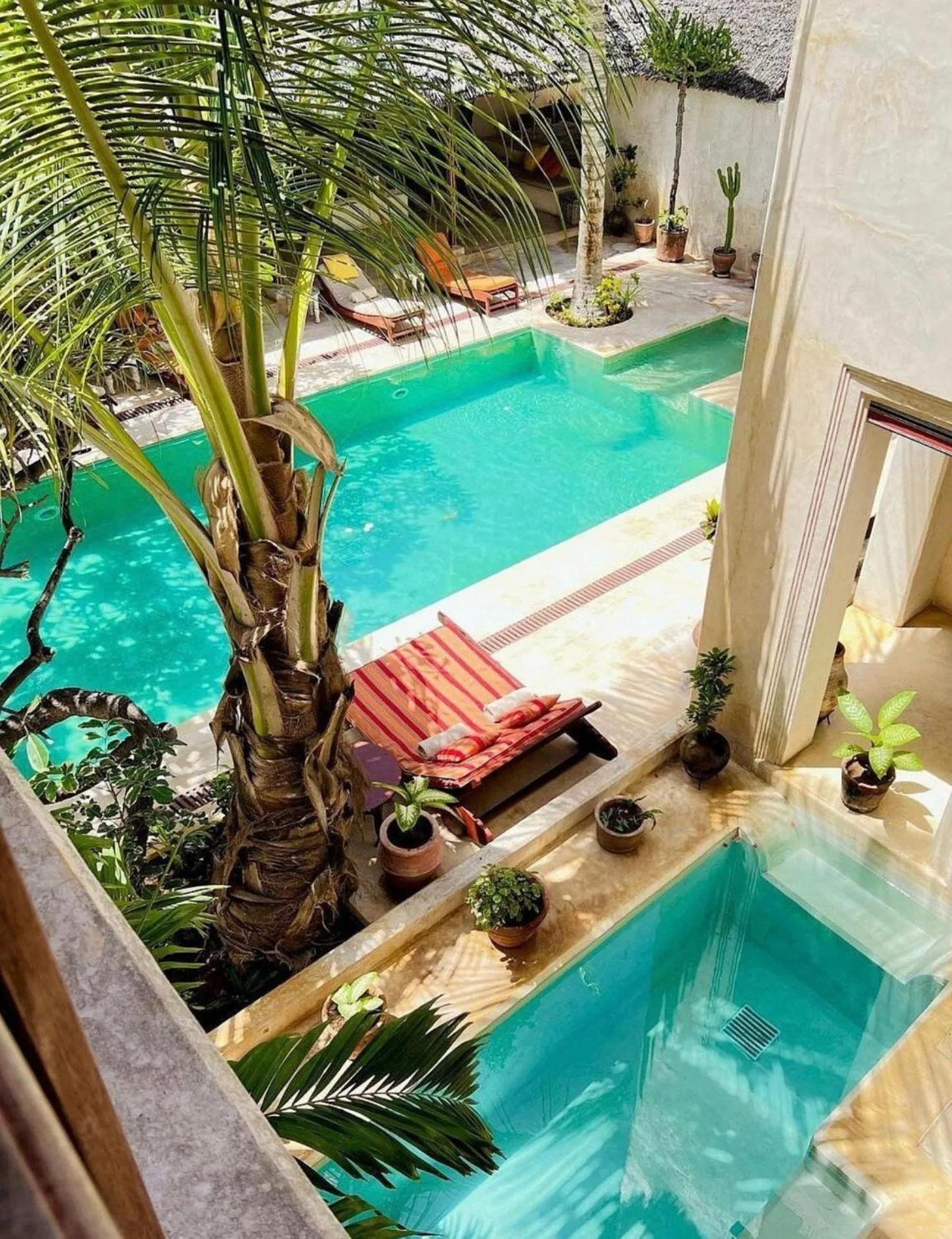 Swimming pool in LAMU HOUSE