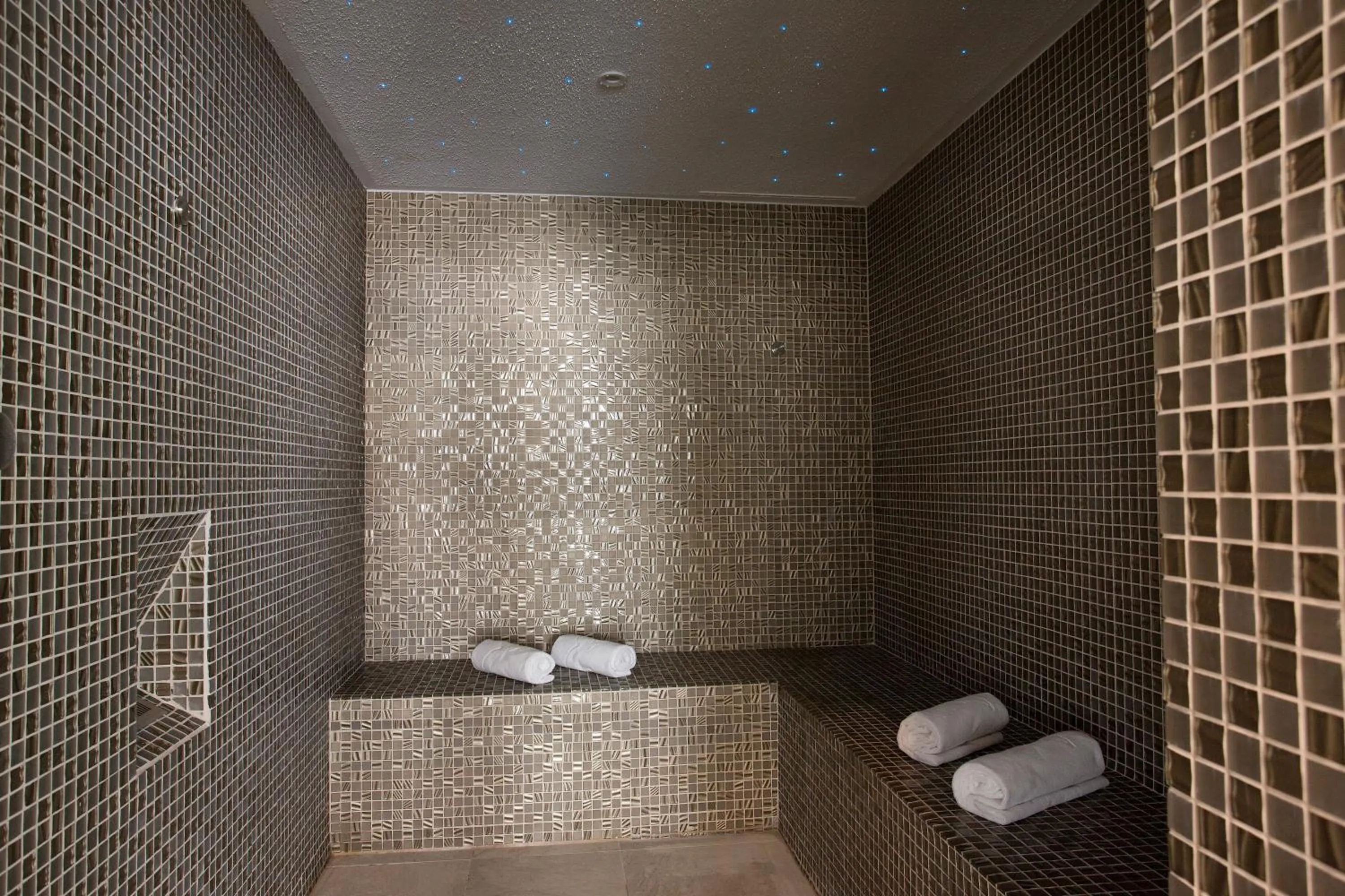 Steam room in Grupotel Farrutx
