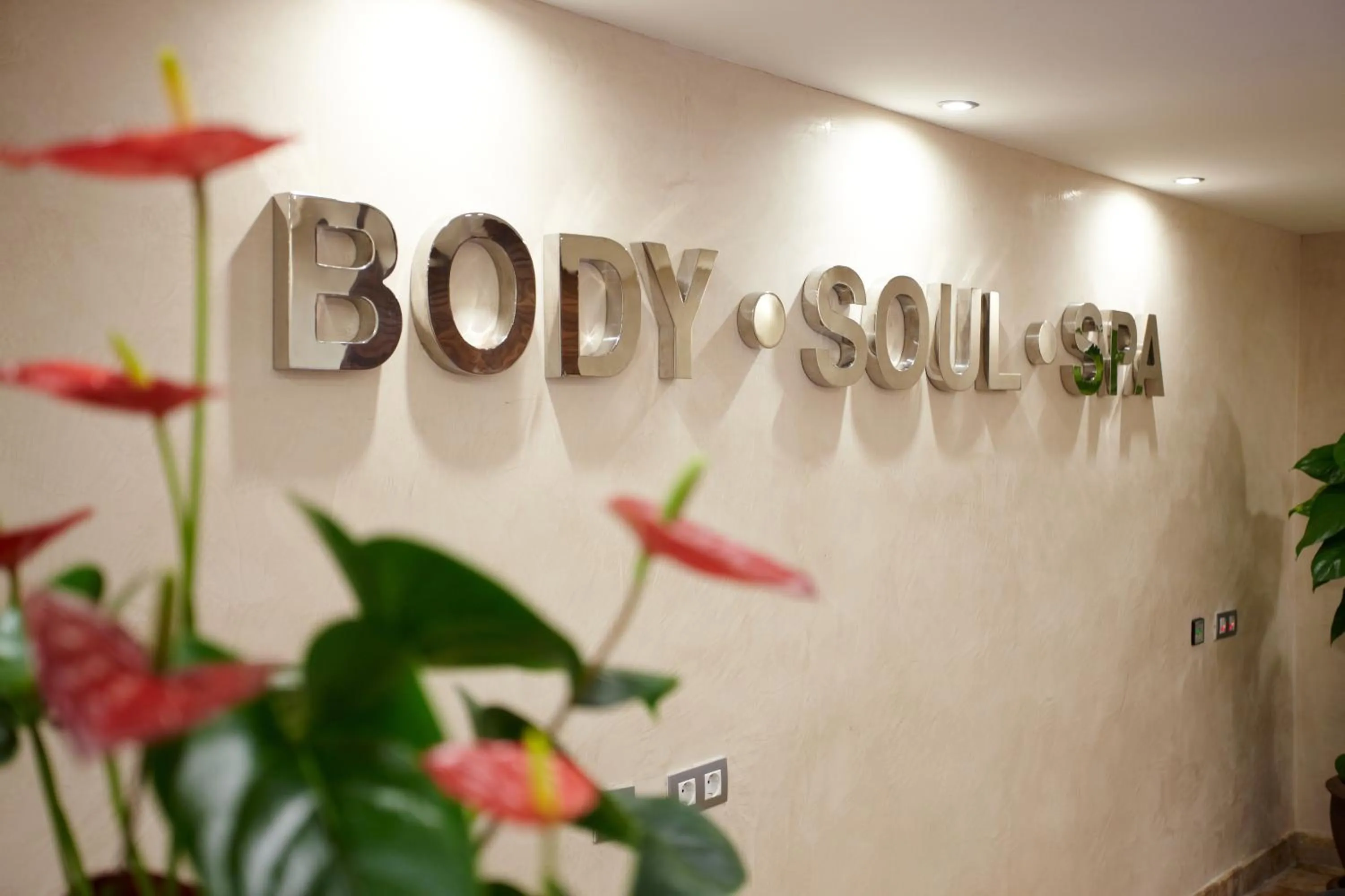 Other in Grupotel Parc Natural & Spa