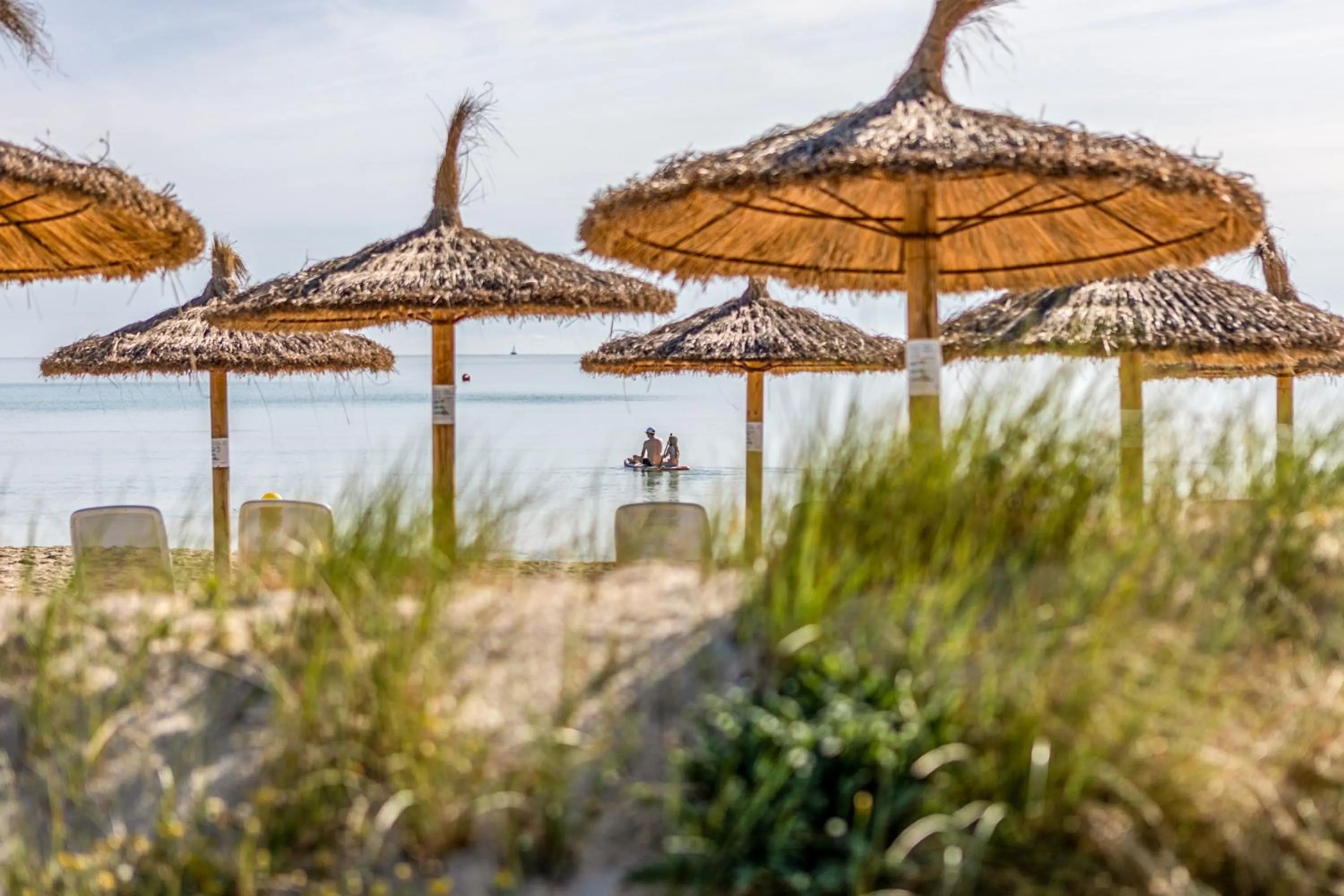 Beach in Grupotel Parc Natural & Spa