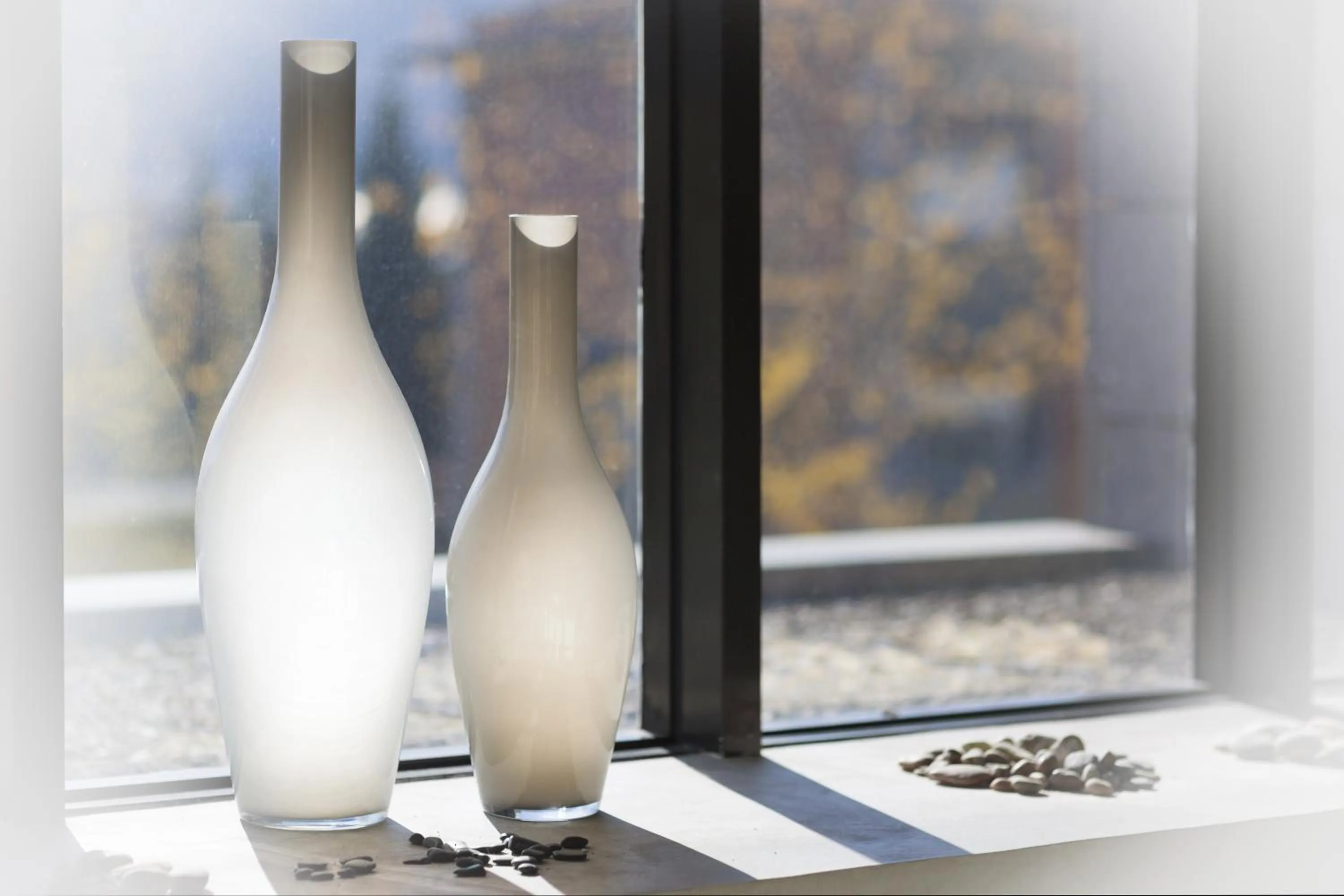 Property building in Hotel Plazaola