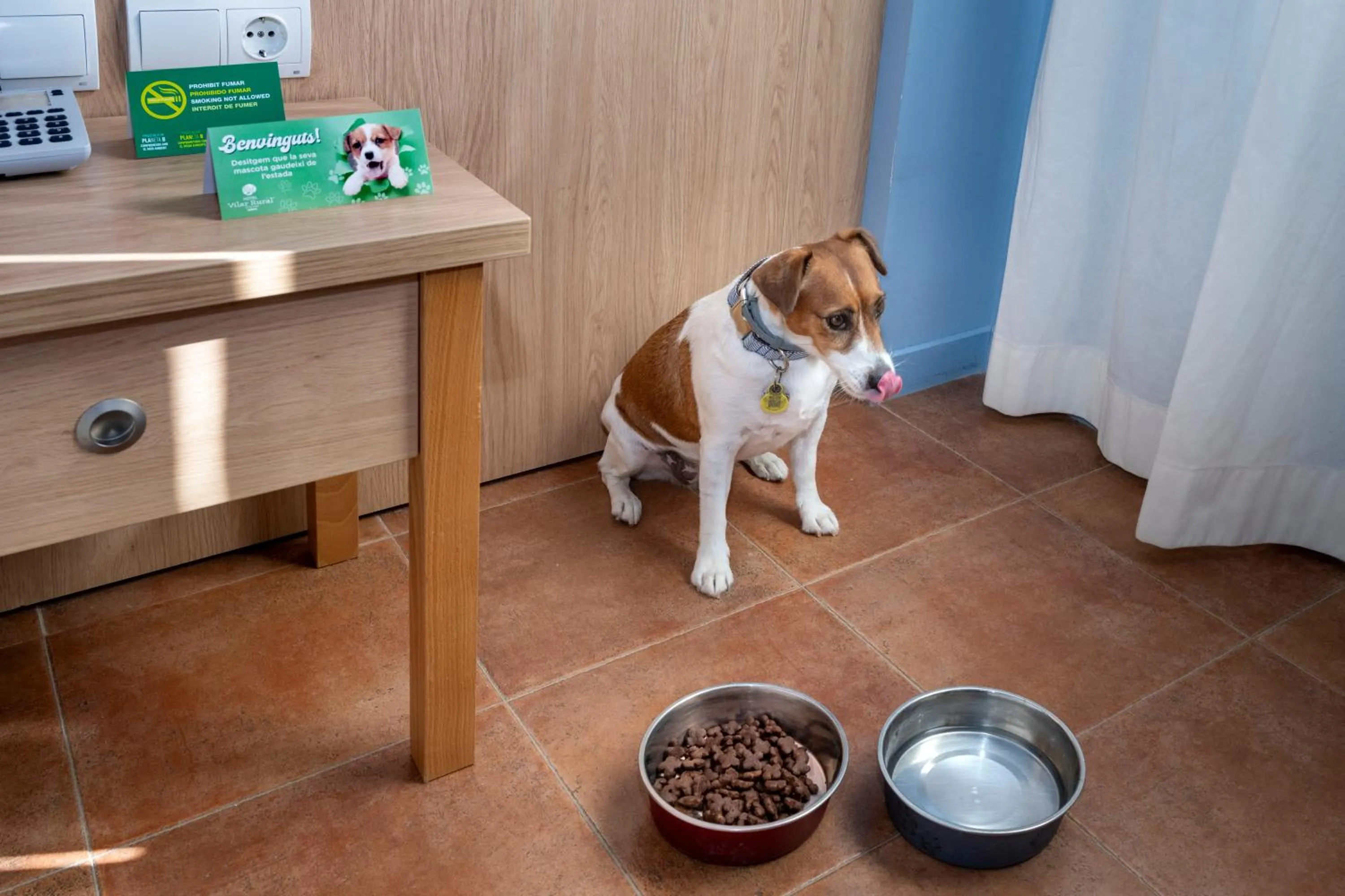 Pets in Hotel & Resort Vilar Rural d'Arnes by Serhs Hotels