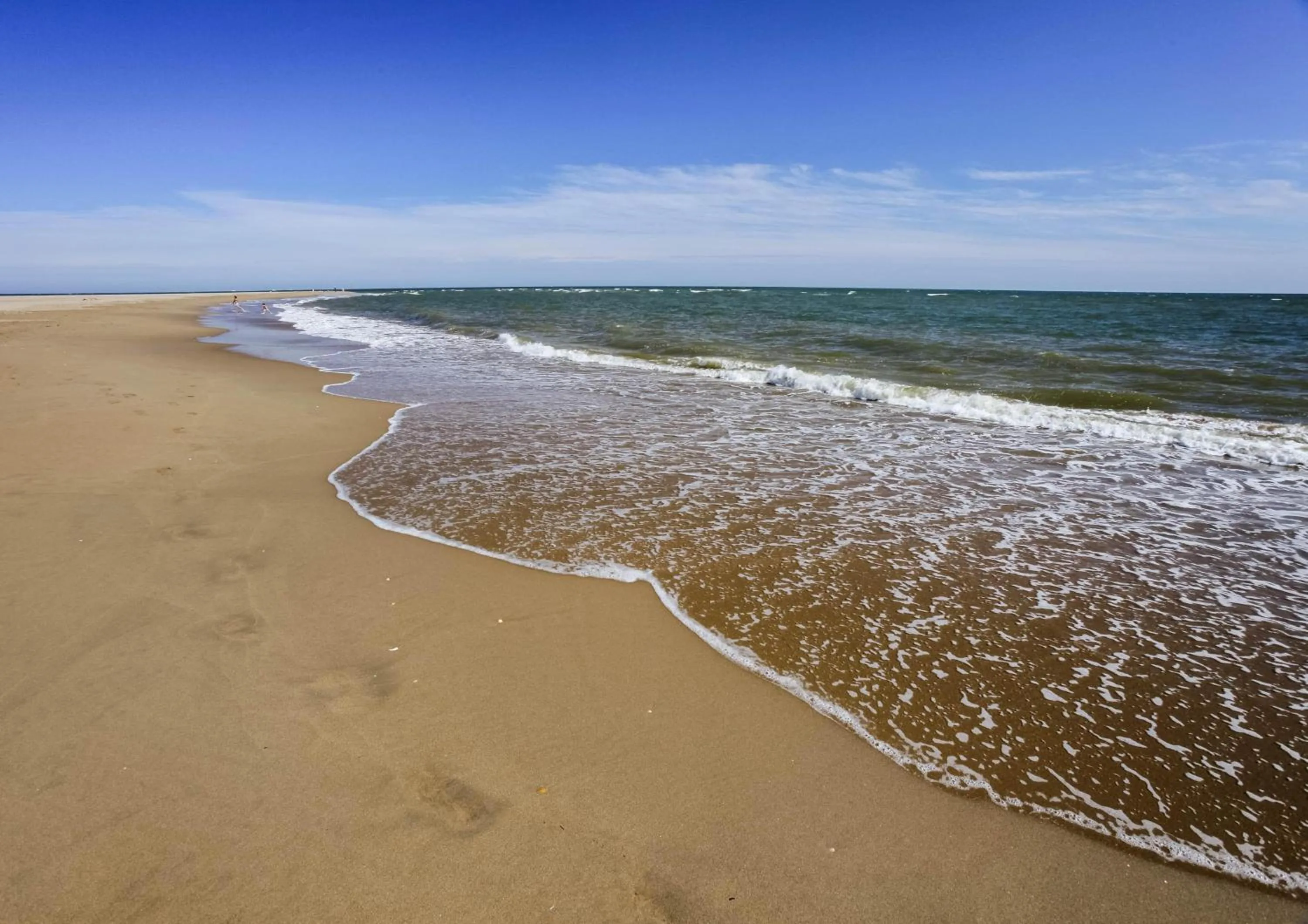 Beach in Barceló Isla Canela
